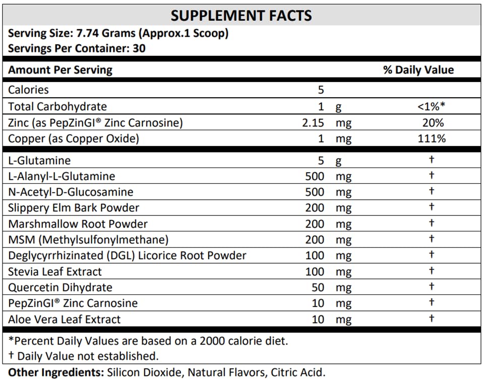 TERRA ORIGIN Healthy Gut Powder (Honey Lemon) | 30-Servings with L-Glutamine TERRA ORIGIN