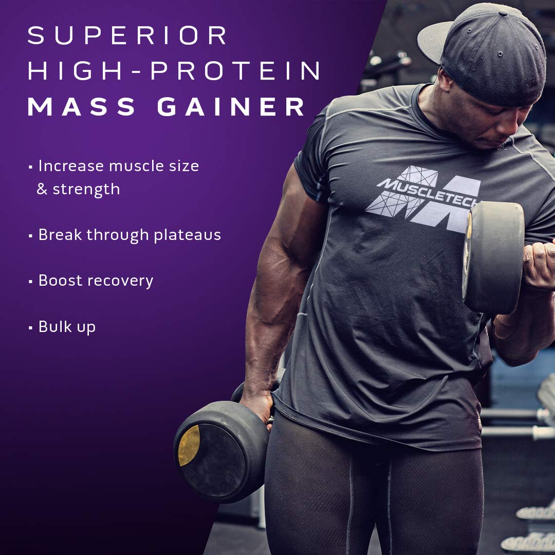 Mass Gainer MuscleTech 100% Mass Gainer Protein Powder Protein Powder for Muscle MuscleTech