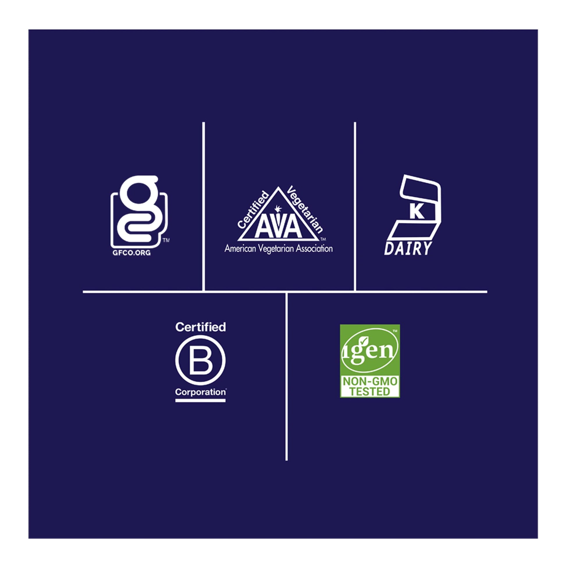 Biochem 100% Whey Sugar-Free Vanilla 20g, 11.8oz, Certified Vegetarian, Certified Gluten Biochem