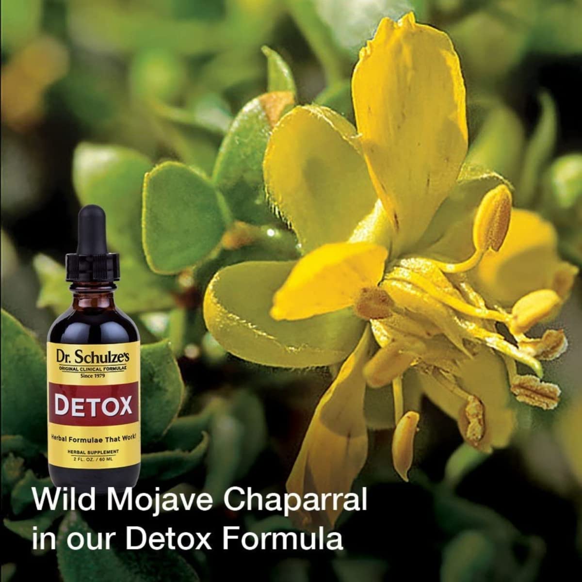 Dr. Schulze's 5 Day Kidney Dr. Schulze's