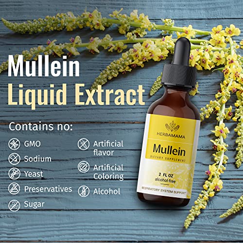 Mullein Leaf Tincture - Lung Cleanse - Vegan Lung Detox - Respiratory Health HERBAMAMA