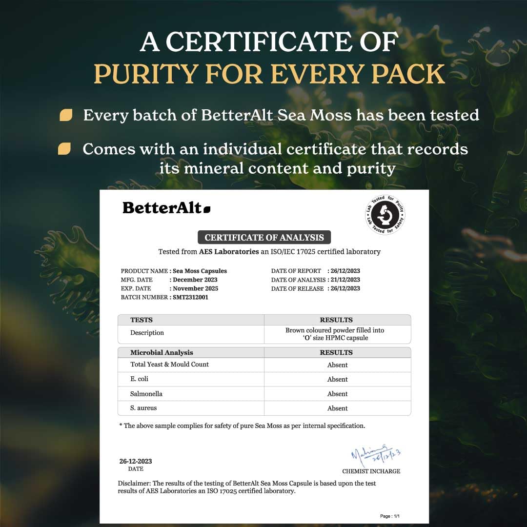 Better Alt Sea Moss Capsules- Irish Sea Moss with Black Seed Oil, Ashwagandha & Black Better Alt