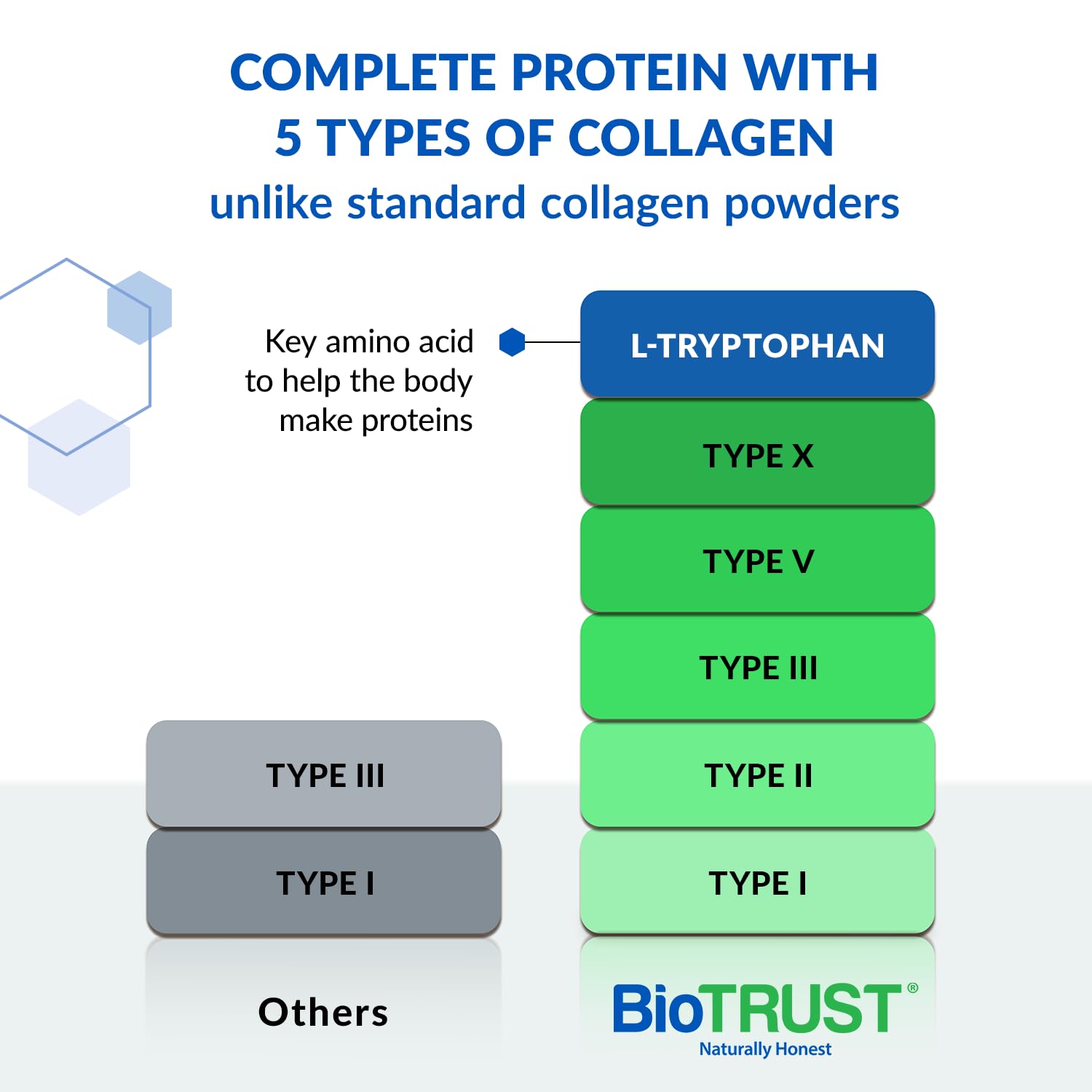 BioTrust Ageless Multi Collagen Protein Powder – 5 Collagen Types (I, II, III, V, X) BioTrust