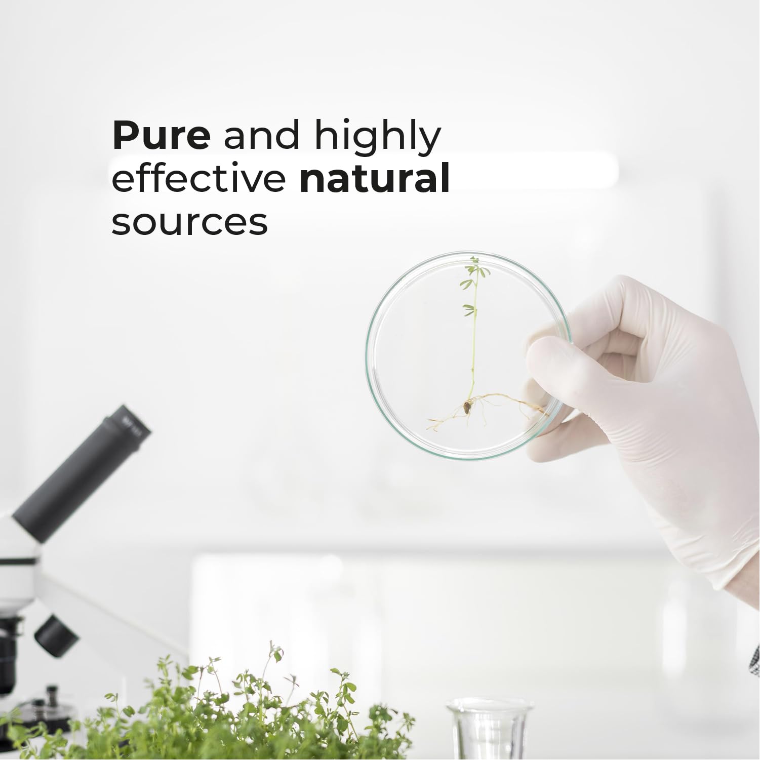 Biogenique Acai Berry Extract & Psyllium Powder, Energy Boost, Free Radical Scavenger Biogenique