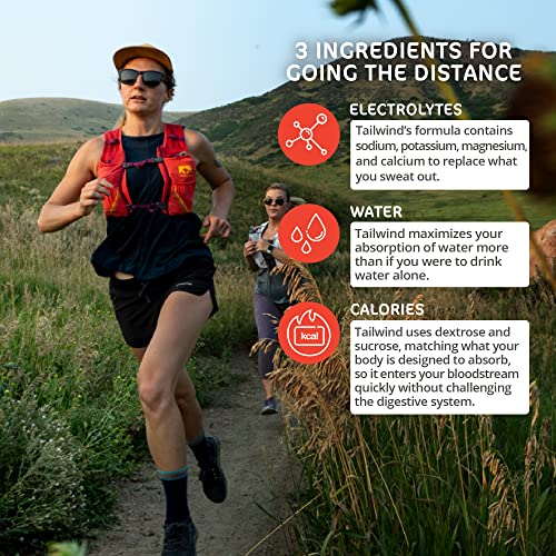 Tailwind Nutrition Endurance Fuel, Caffeine Drink Mix with Electrolytes