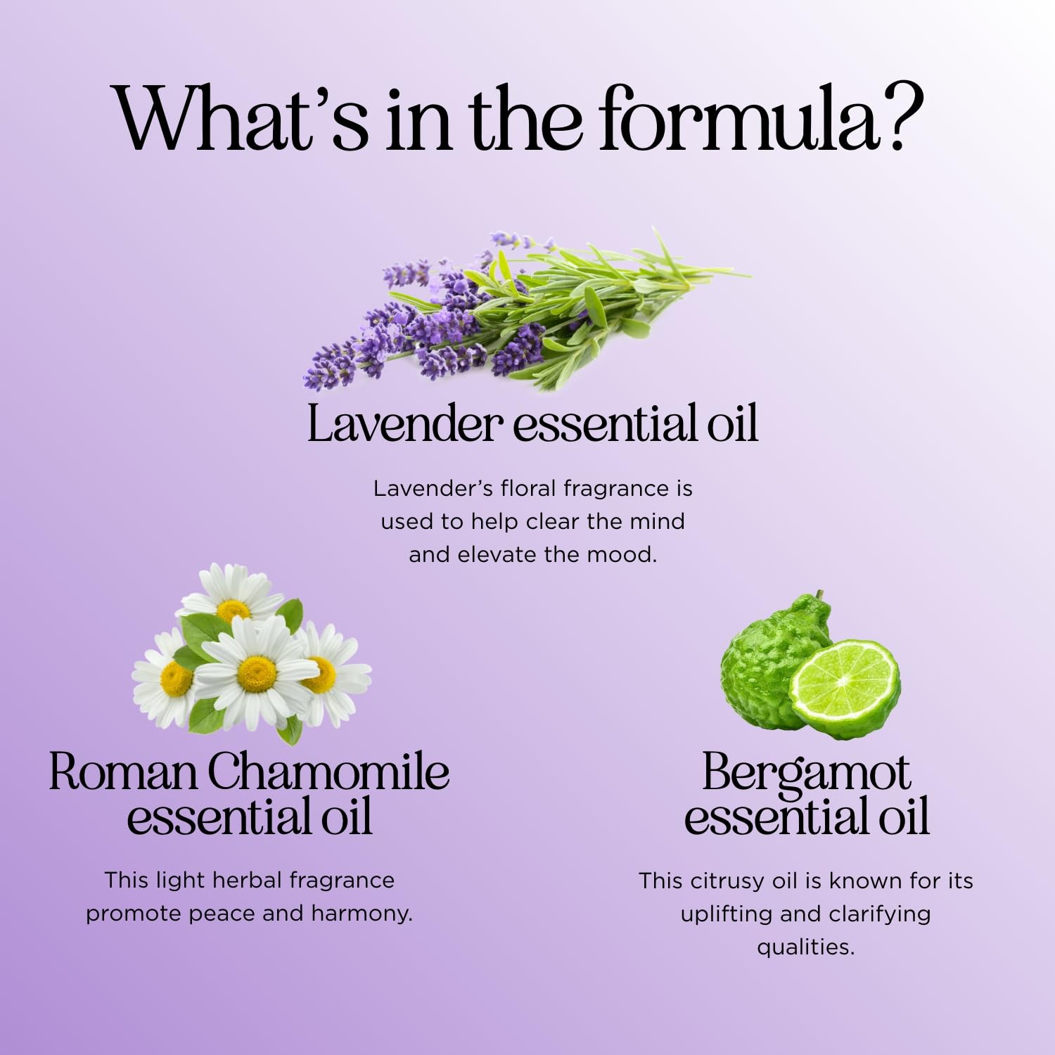 Sleep Essential Oil Blend for Diffuser - Snooze Blend Essential Oil for Sleep with Roman Chamomile Maple Holistics