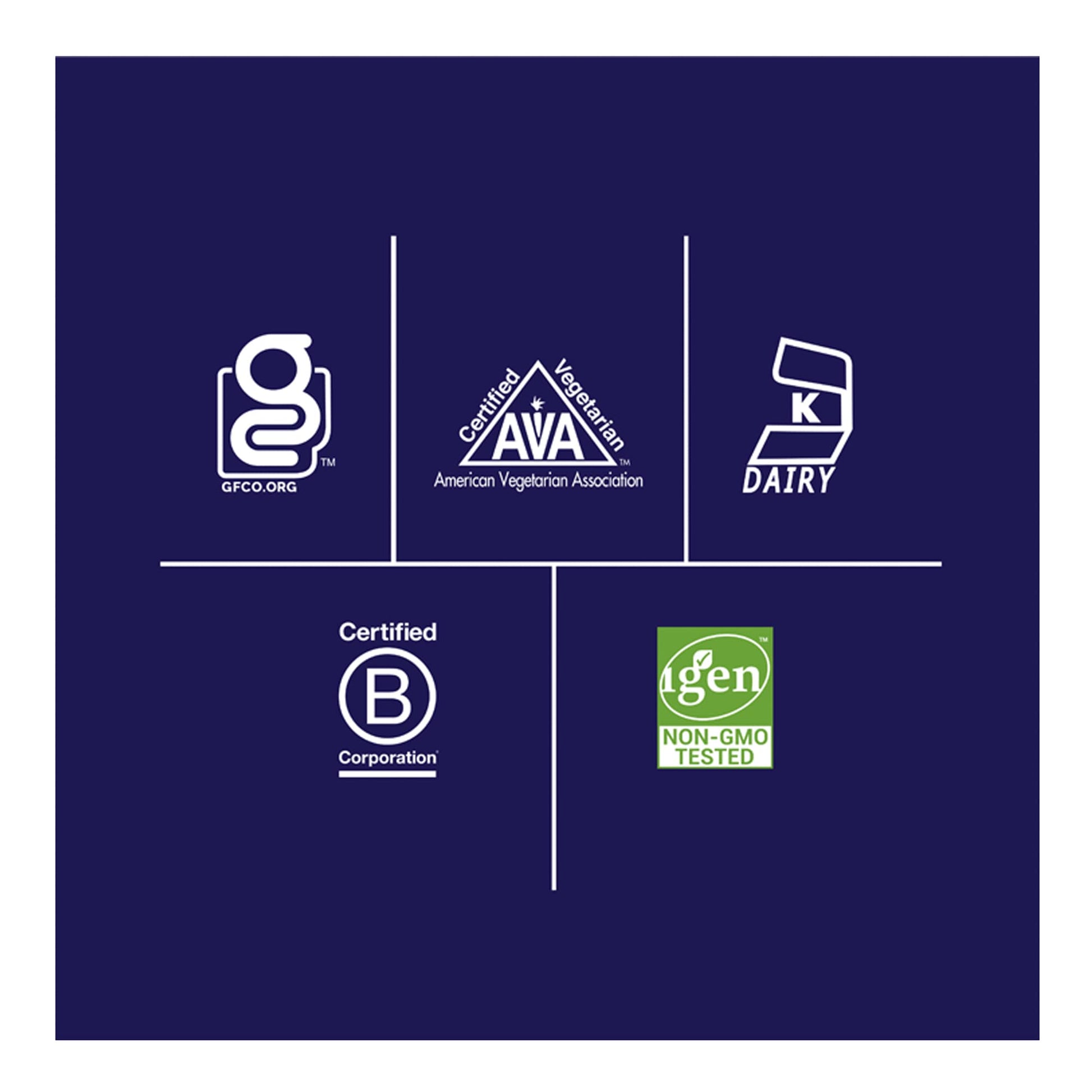 Biochem 100% Whey Sugar-Free Chocolate 20g, 12.5oz, Certified Vegetarian, Certified Glut Biochem