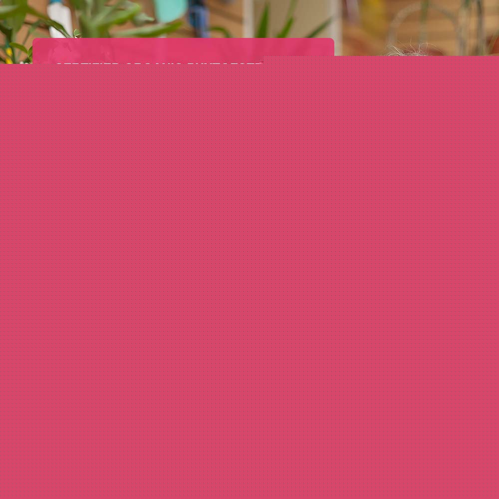 Phyto Plus Bountiful Bird Natural Progesterone Cream with Organic Phytoestrogens