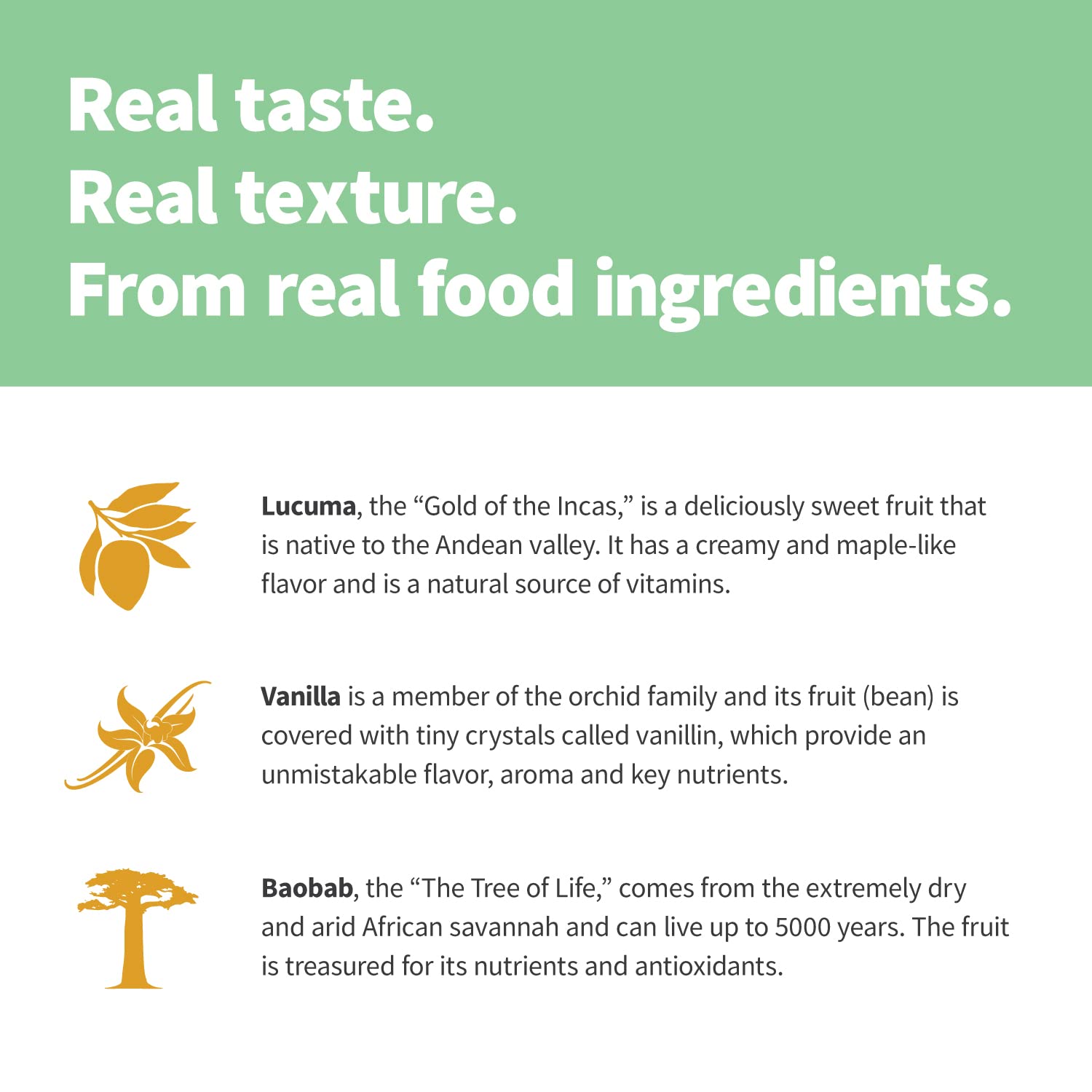 Sprout Living Epic Protein, Plant Based Protein & Superfoods Powder, Vanilla Lucuma Sprout Living