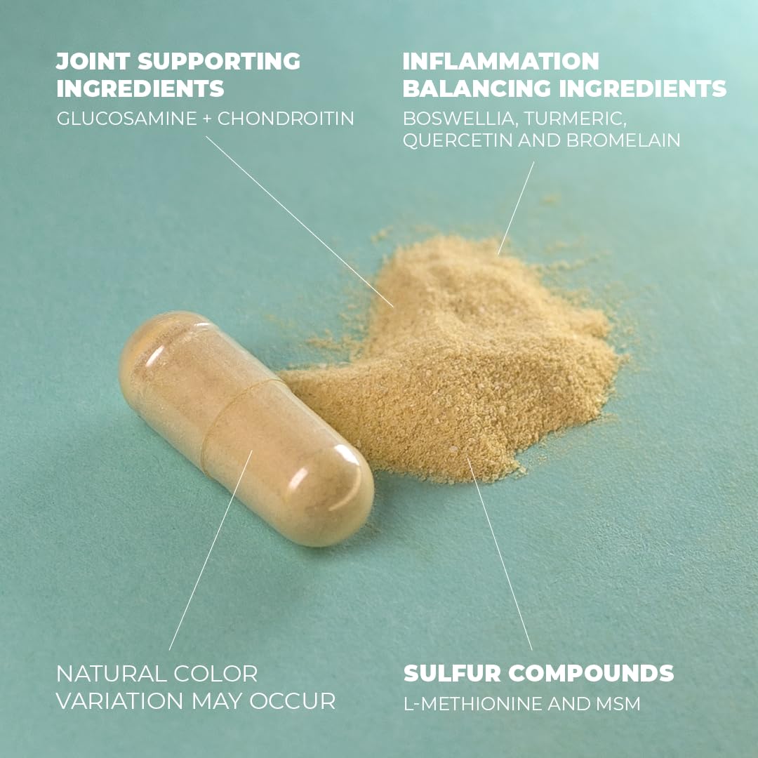 Glucosamine Chondroitin MSM Turmeric Boswellia - Joint Support Supplement. Antioxidant Vimerson Health