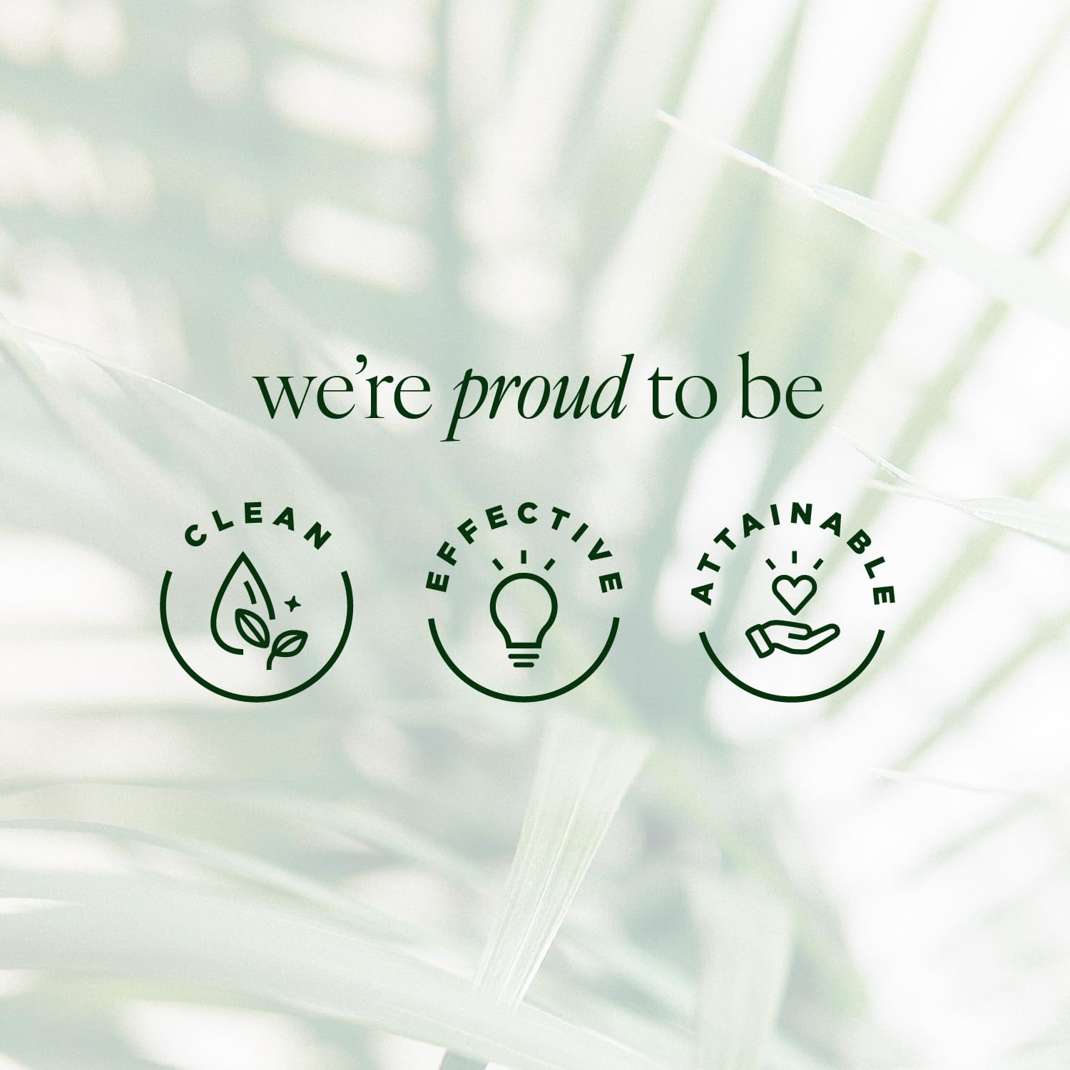 Tree of Life Rejuvenation Pack with Vitamin C Serum + Retinol Serum Tree of Life Beauty