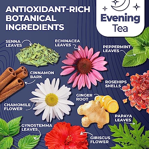 Total Tea Detox Tea & Energy Tea Set - 25 Day Detox Tea - Herbal SIim Tea Total Tea