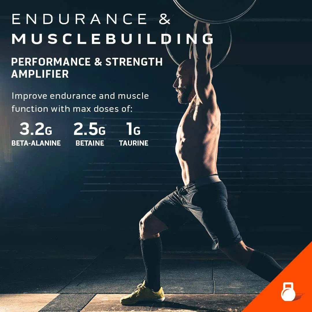 Pre Workout for Men & Women | MuscleTech Shatter Elite Pre-Workout | Preworkout Energy MuscleTech