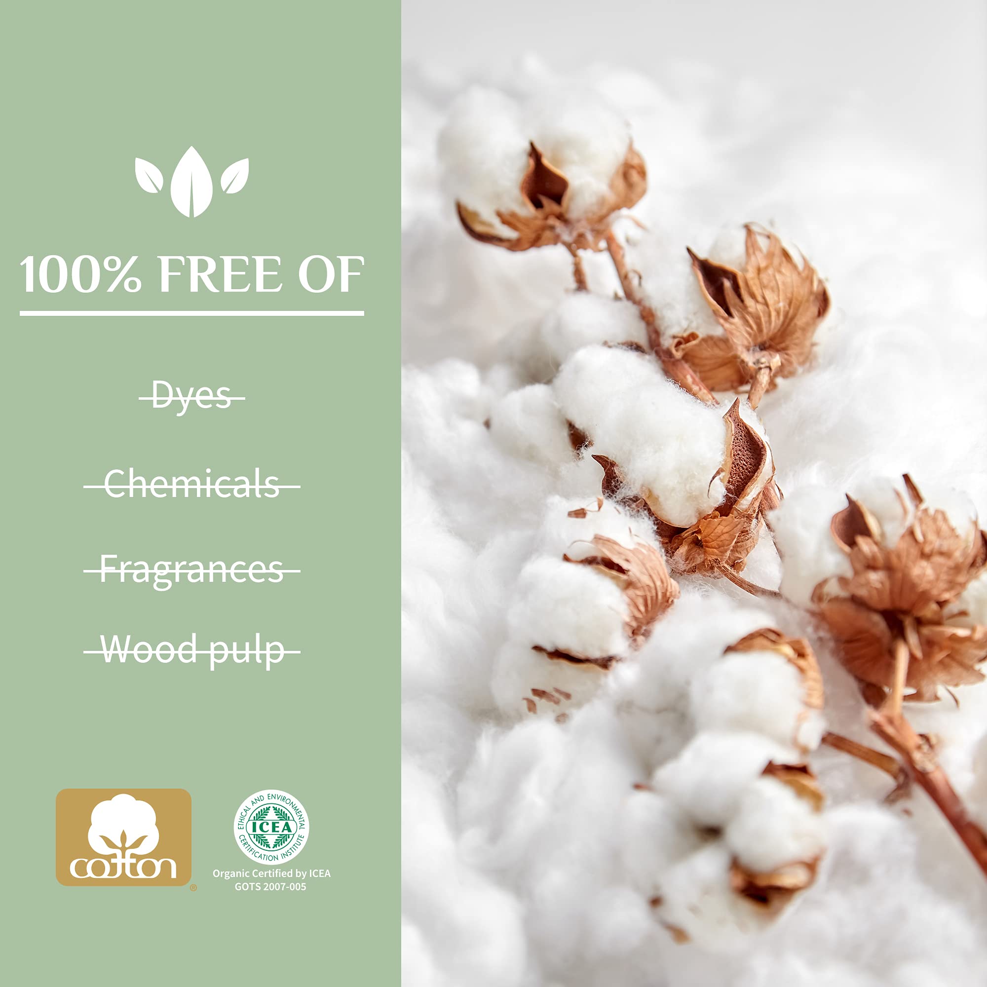 Organyc 100% Certified Organic Cotton Tampons - Cardboard Applicator, Free from Chlorine, Perfumes Organyc
