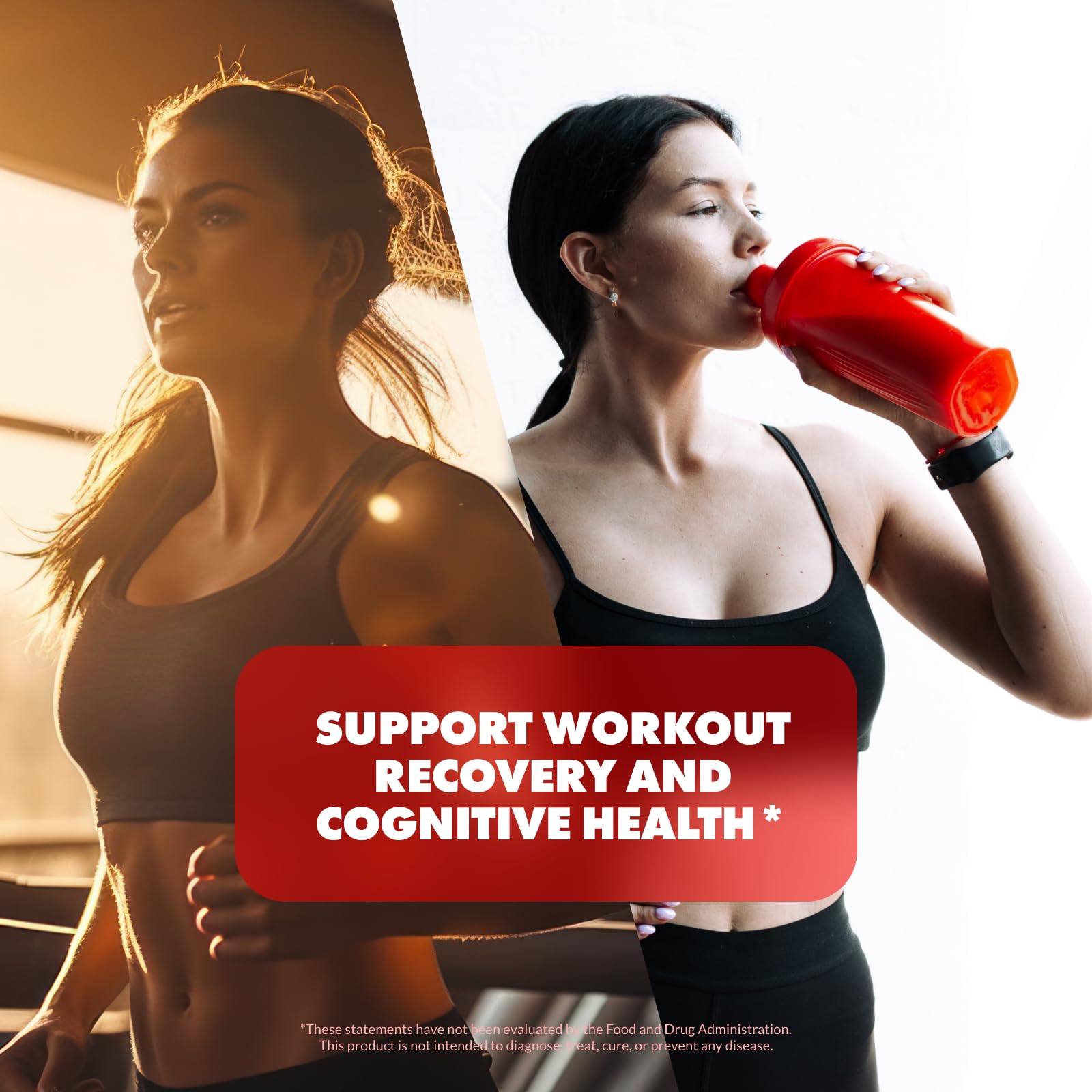 Sculpt Nation by V Shred Creatine - Premium Creatine Monohydrate Powder Sculpt Nation