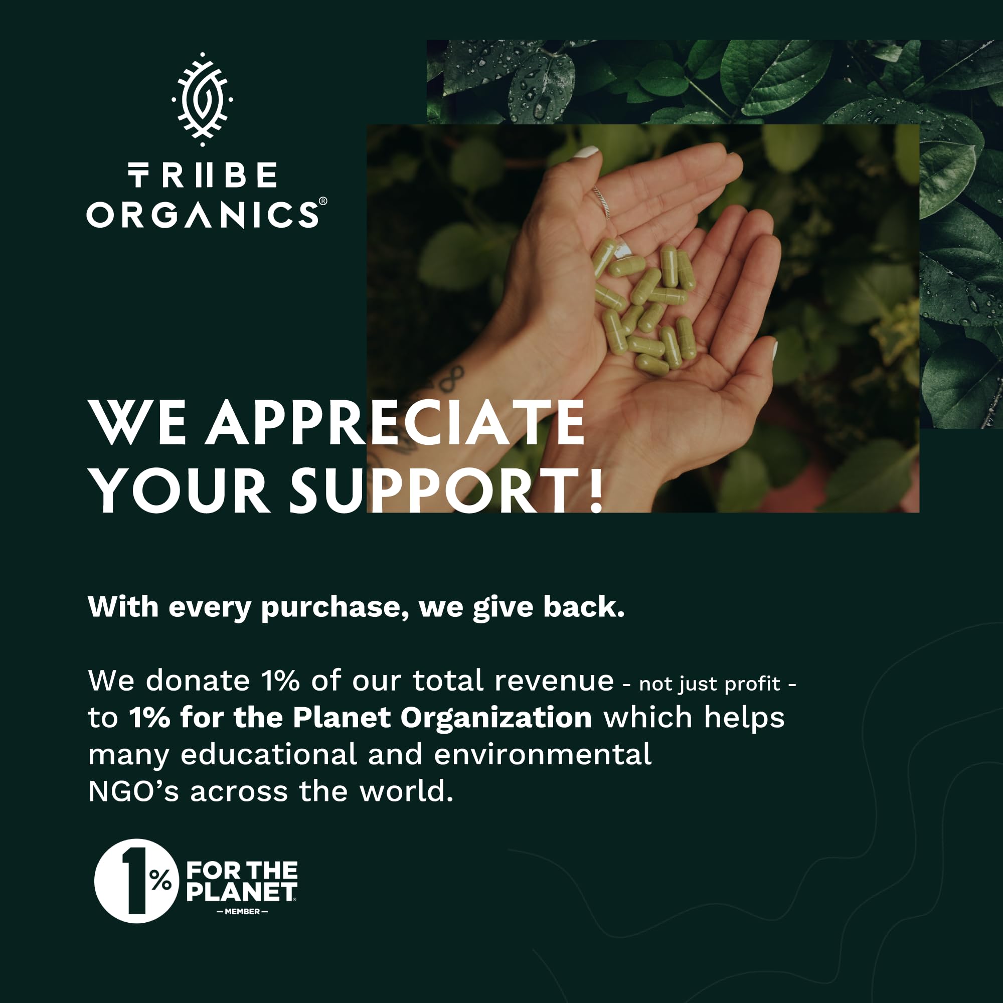 TRIBE ORGANICS Ashwagandha KSM 66 Pure Organic Root Powder Extract Ayurvedic TRIBE ORGANICS