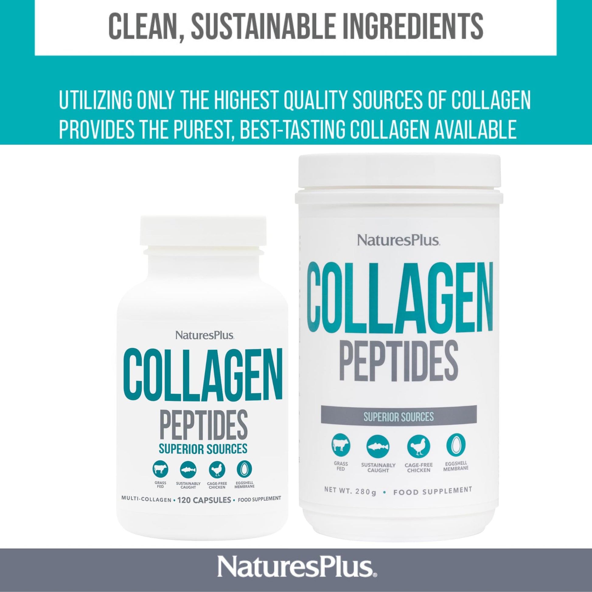 NaturesPlus Collagen Peptides Powder - Premium Hydrolysed Collagen Supplement, 6 Major Types Nature's Plus