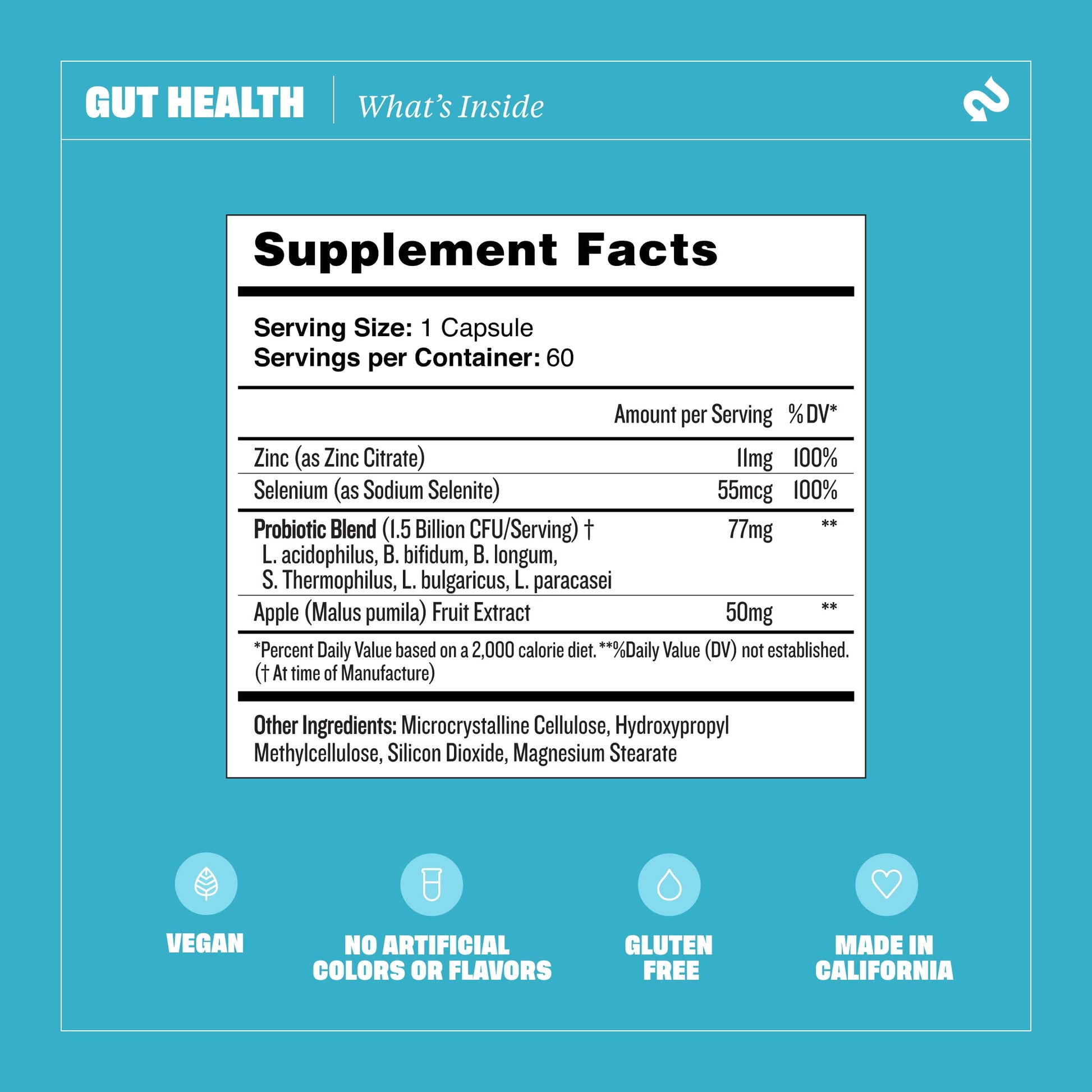 Health By Habit Gut Health Supplement (60 Capsules) - Contains 1.5 Billion probiotic Health By Habit