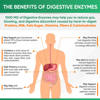 Wholesome Wellness Digestive Enzymes 1000MG Plus Prebiotics & Probioti