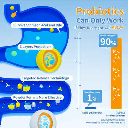 ZEBORA Probiotics for Women, Men and Kids, Prebiotics and Probiotics Powder