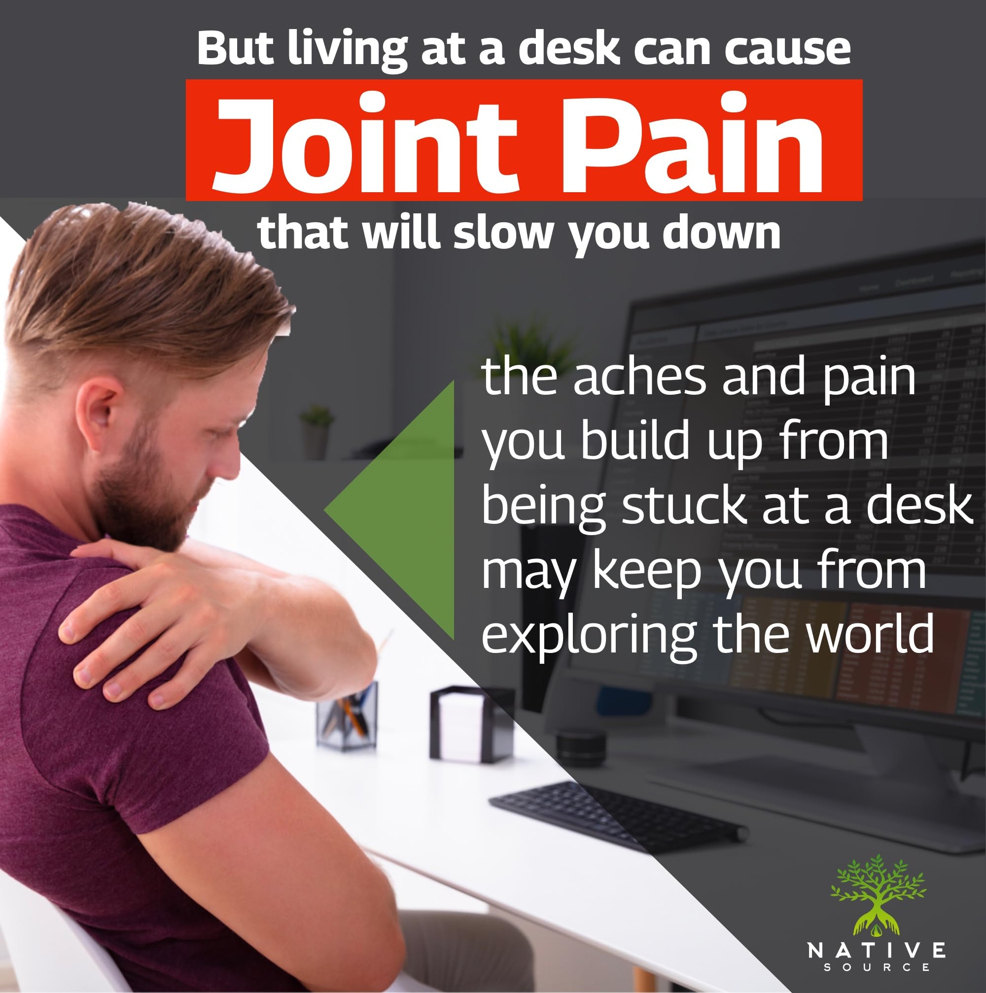 Native Source Joint Support Supplement - Turmeric - Tamarind - Boswellia - Fenugreek Native Source