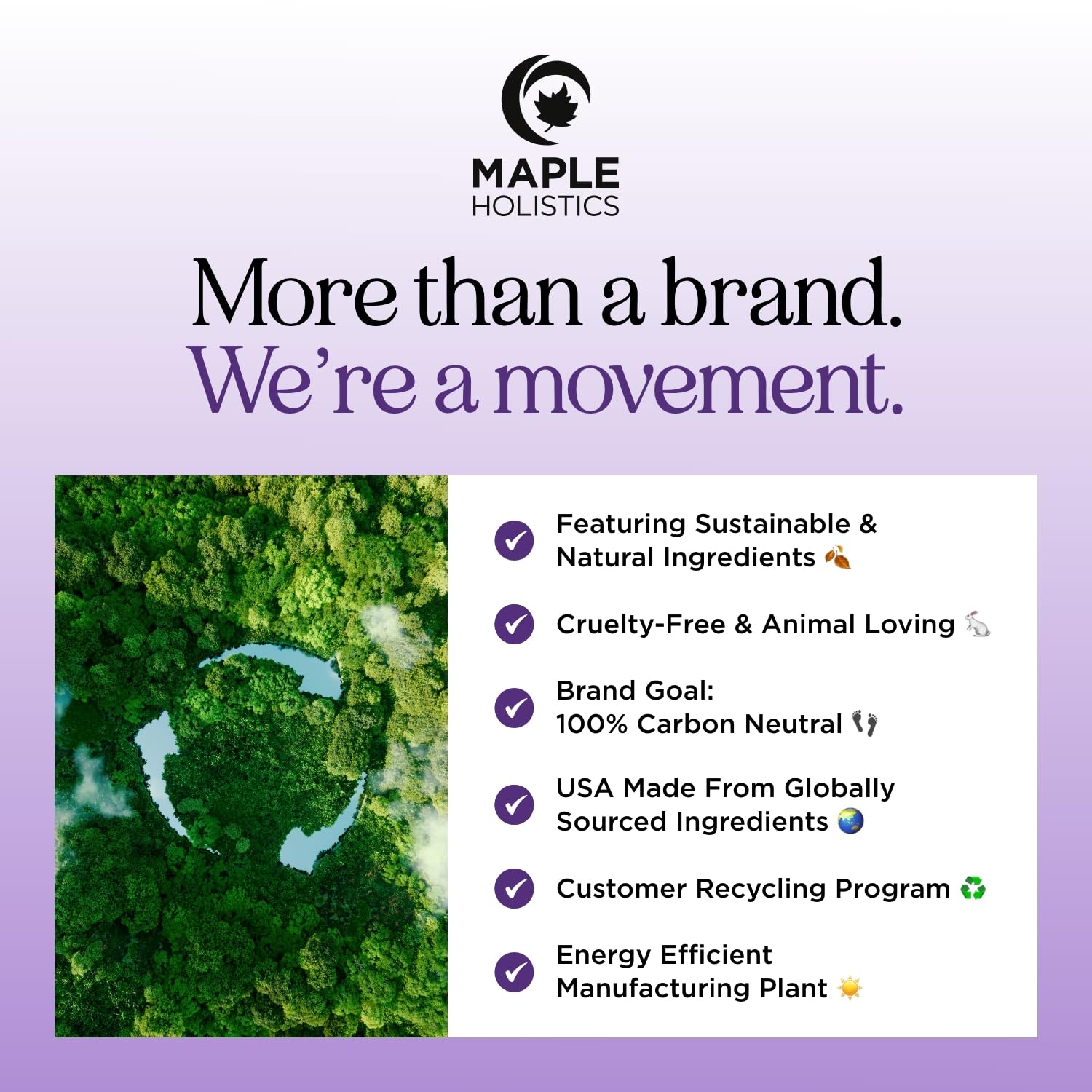 Sleep Essential Oil Blend for Diffuser - Snooze Blend Essential Oil for Sleep with Roman Chamomile Maple Holistics