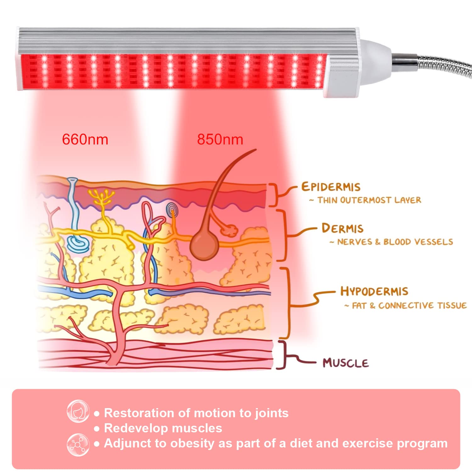 MAINENG Infrared & Red Light Therapy Lamp with Timer, 660nm & 850nm LED - M7685 MAINENG