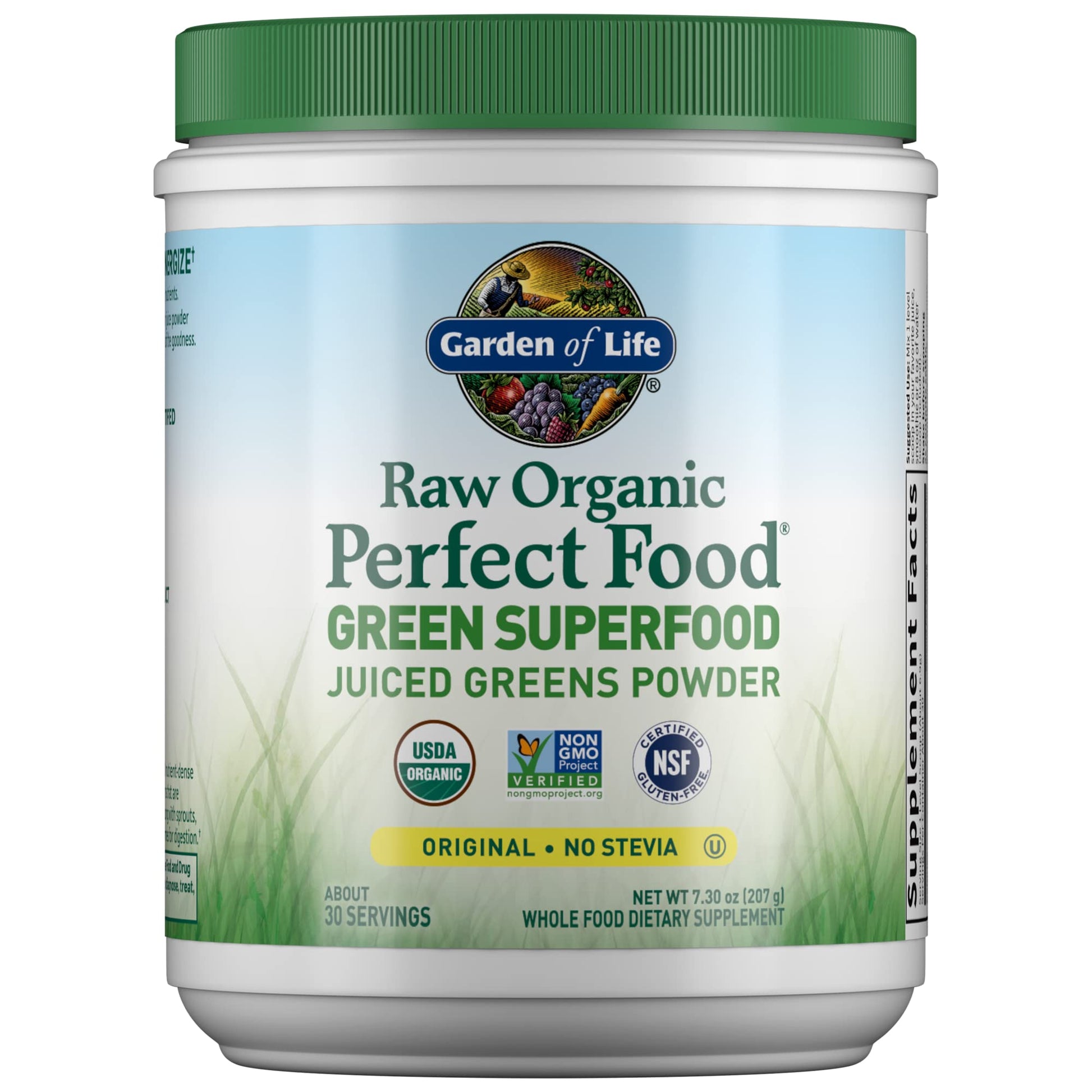 Garden of Life Raw Organic Perfect Food Alkalizer & Detoxifier Juiced Greens Superfood Garden of Life