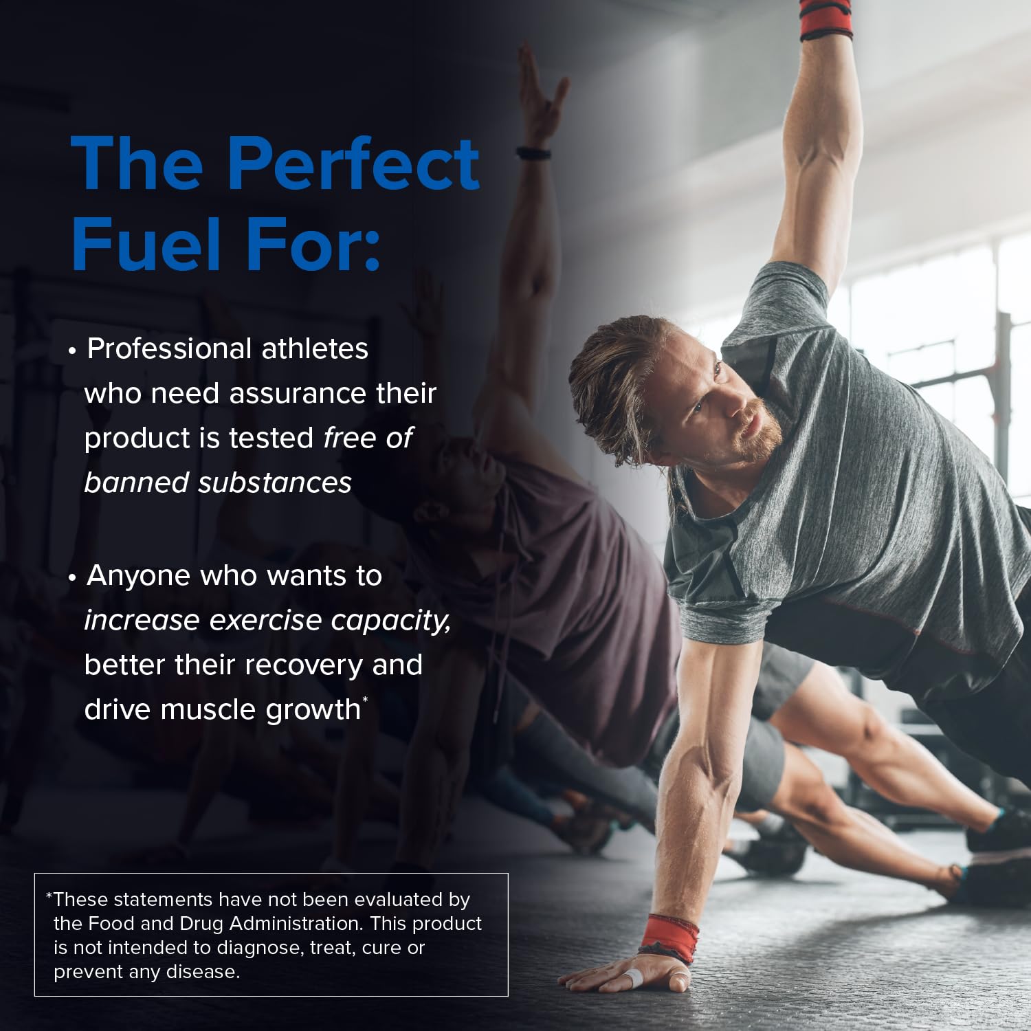 Designs for Sport Creatine Monohydrate Powder - NSF Certified for Sport Creatine Designs for Sport