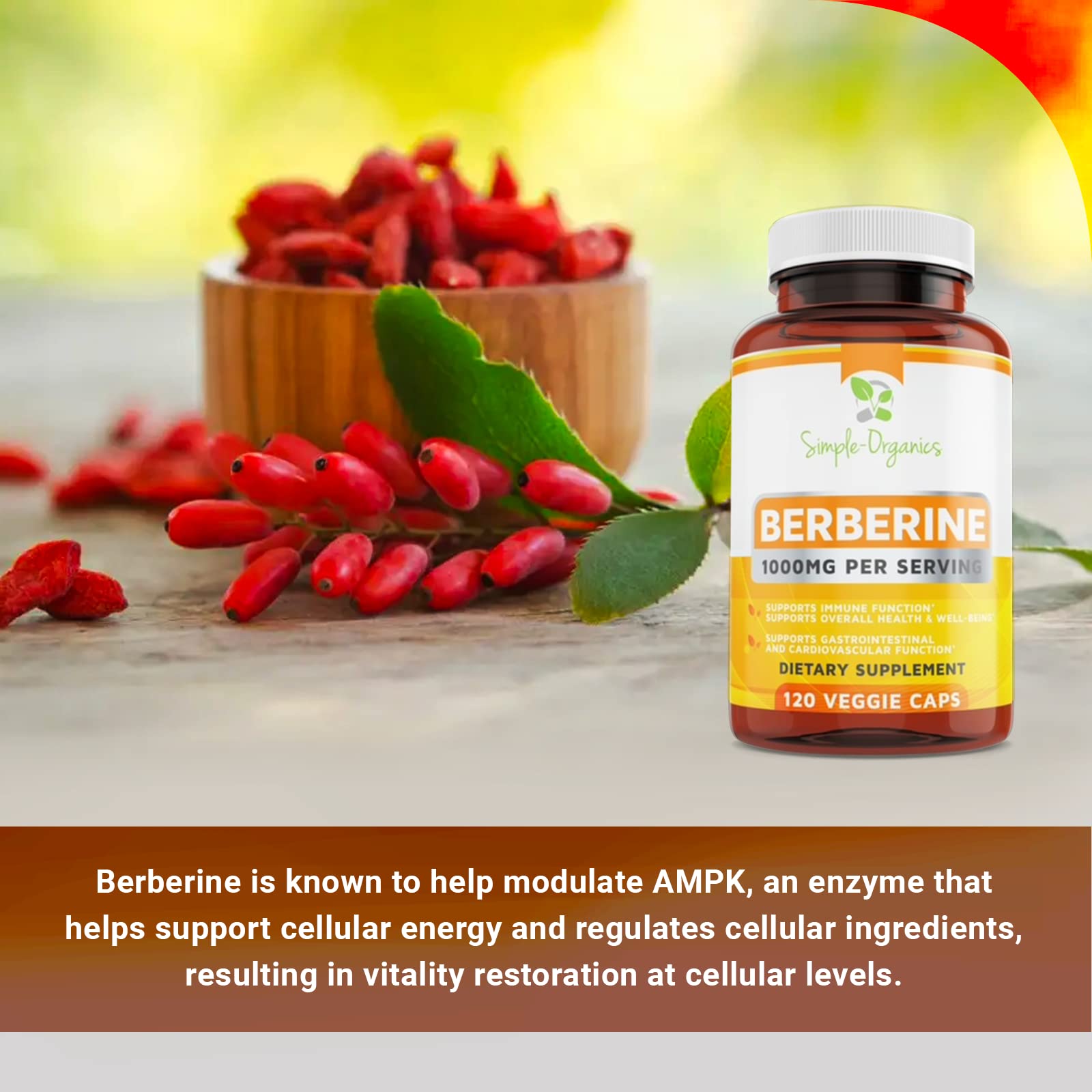 Simple-Organics Berberine 500mg (1000mg Per Serving) for Supports Healthy Immune Simple-Organics