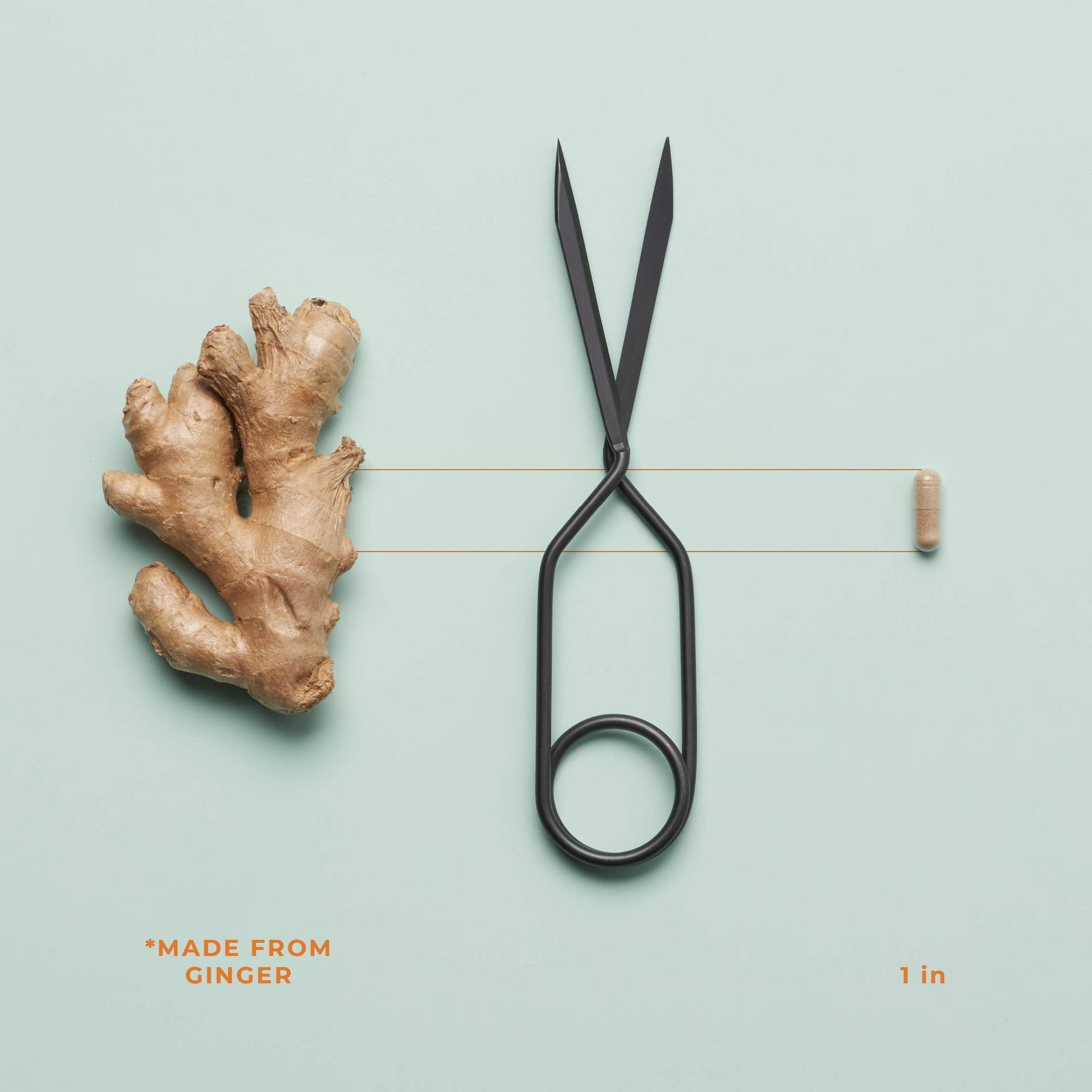 PreMense-T - PMS Relief Supplement - Ginger, Cramp Bark, Black Cohosh, Dong Quai, Chasteberry & Vitamin B6 LifeSeasons