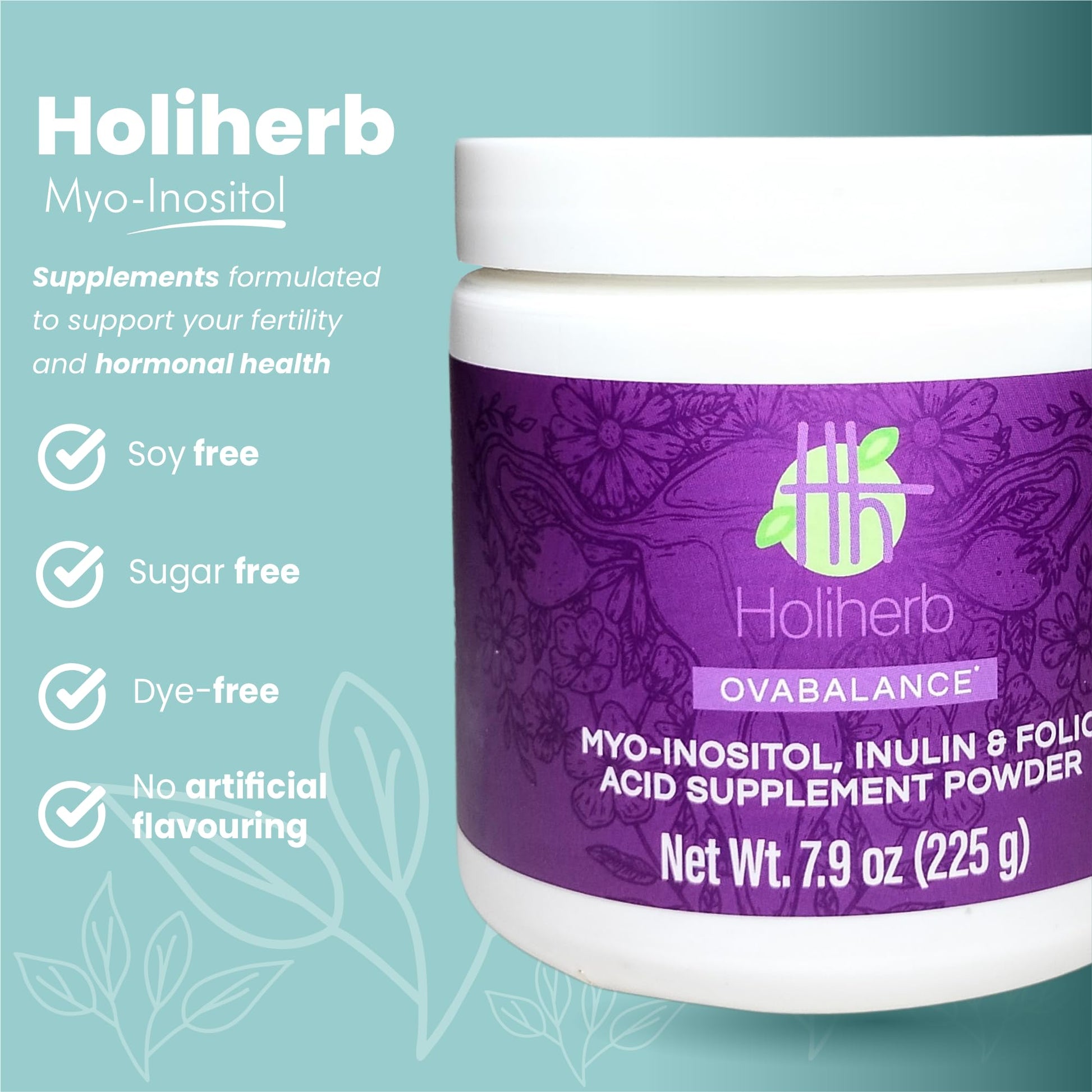 Holiherb 4g Myo Inositol + Folic Acid Holiherb