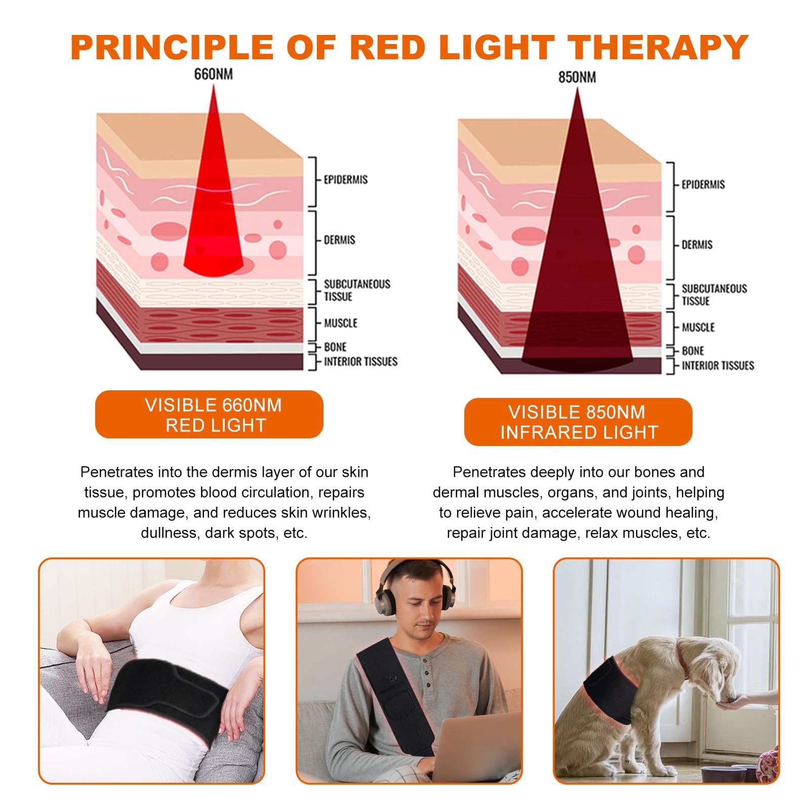 EquiZen Red Light Therapy Belt - Red Light Therapy for Body, Infrared Light Therapy Device EquiZen