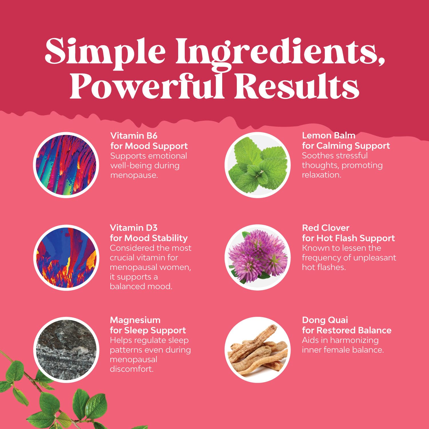 Complete Herbal Menopause Supplement for Women - Multibenefit Menopause Relief Hormone Balance Natures Craft