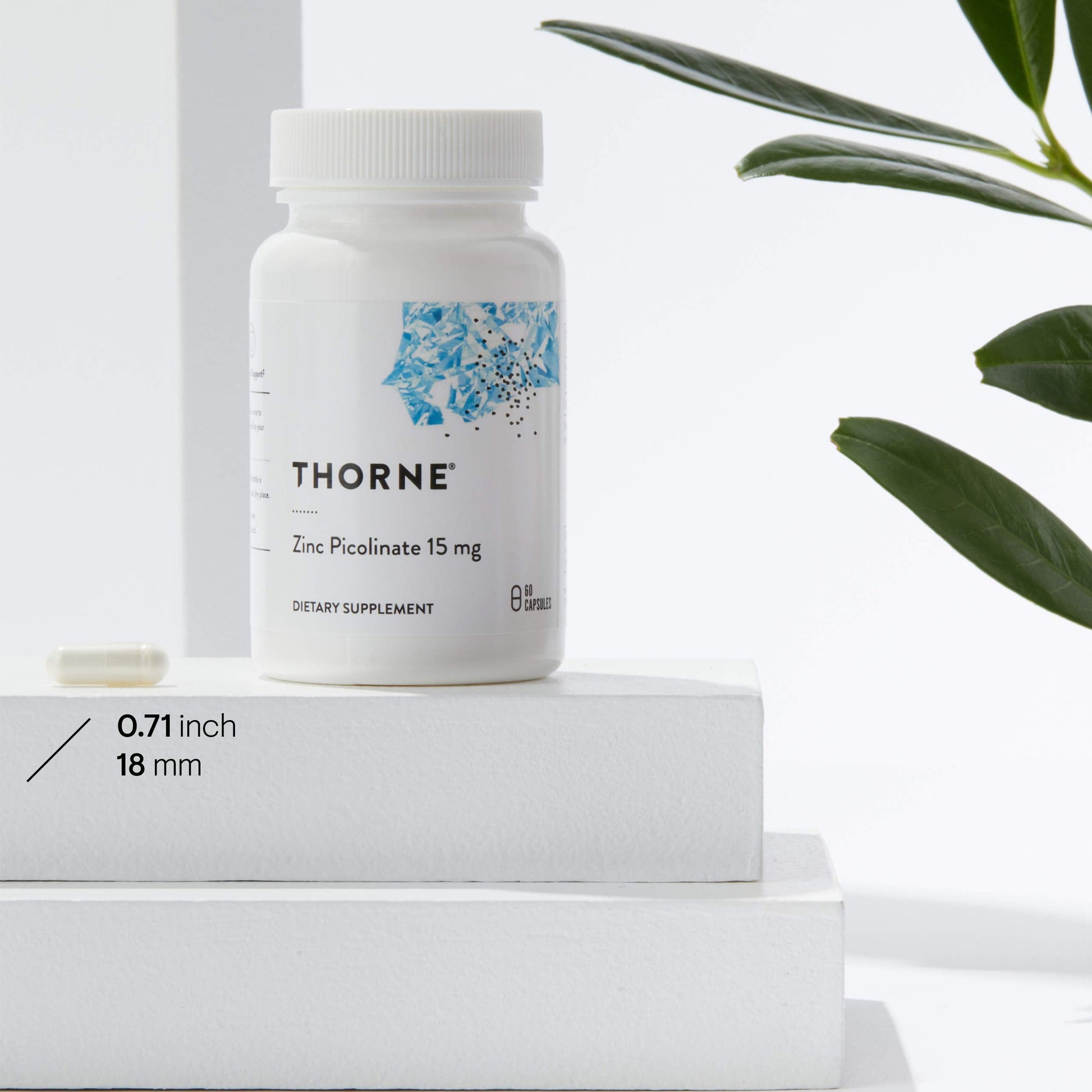 Thorne Zinc Picolinate 15mg - Highly Absorbable Zinc Supplement - Supports Wellness THORNE