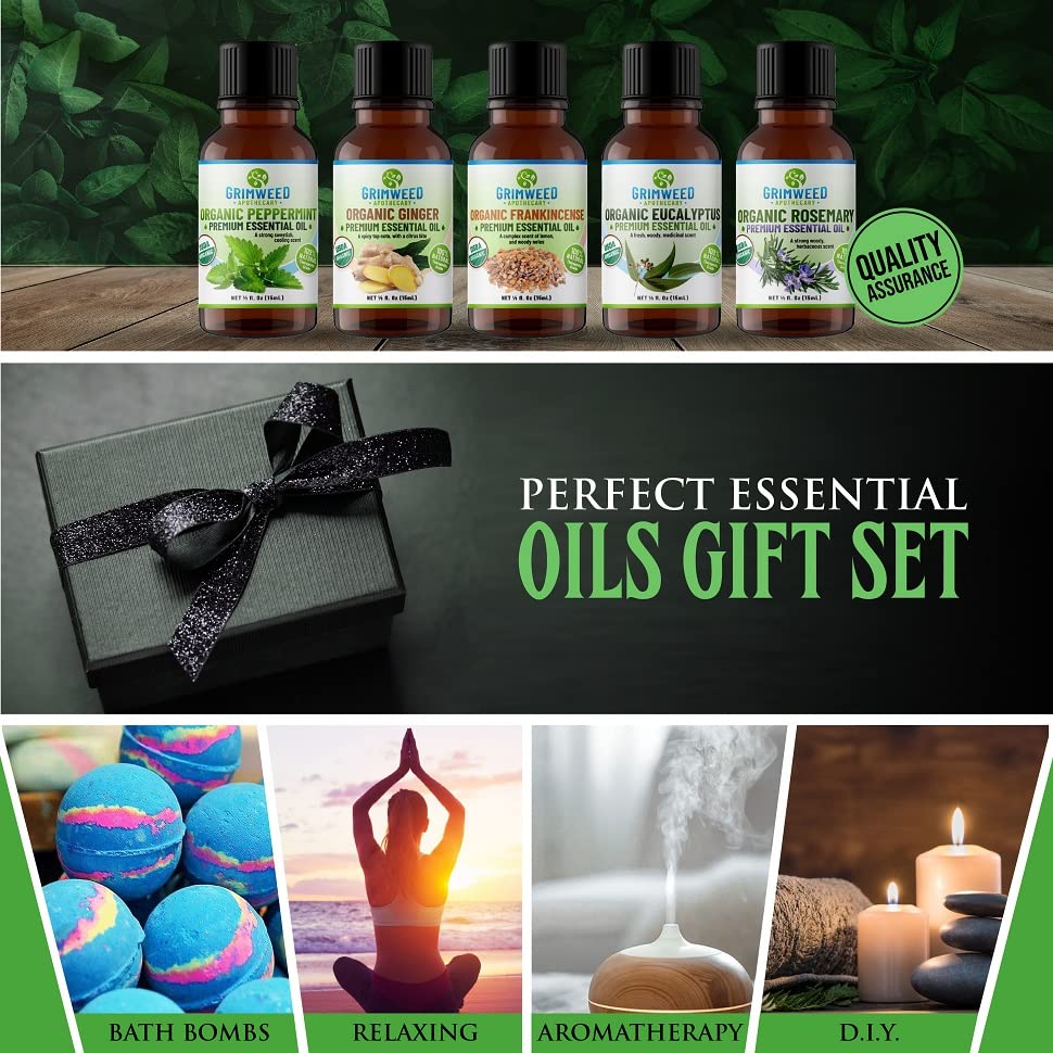 USDA Organic Ginger Essential Oil – Therapeutic Grade- Diffuser Oil - 100% All Natural - with Glass Dropper Grimweed Apothecary