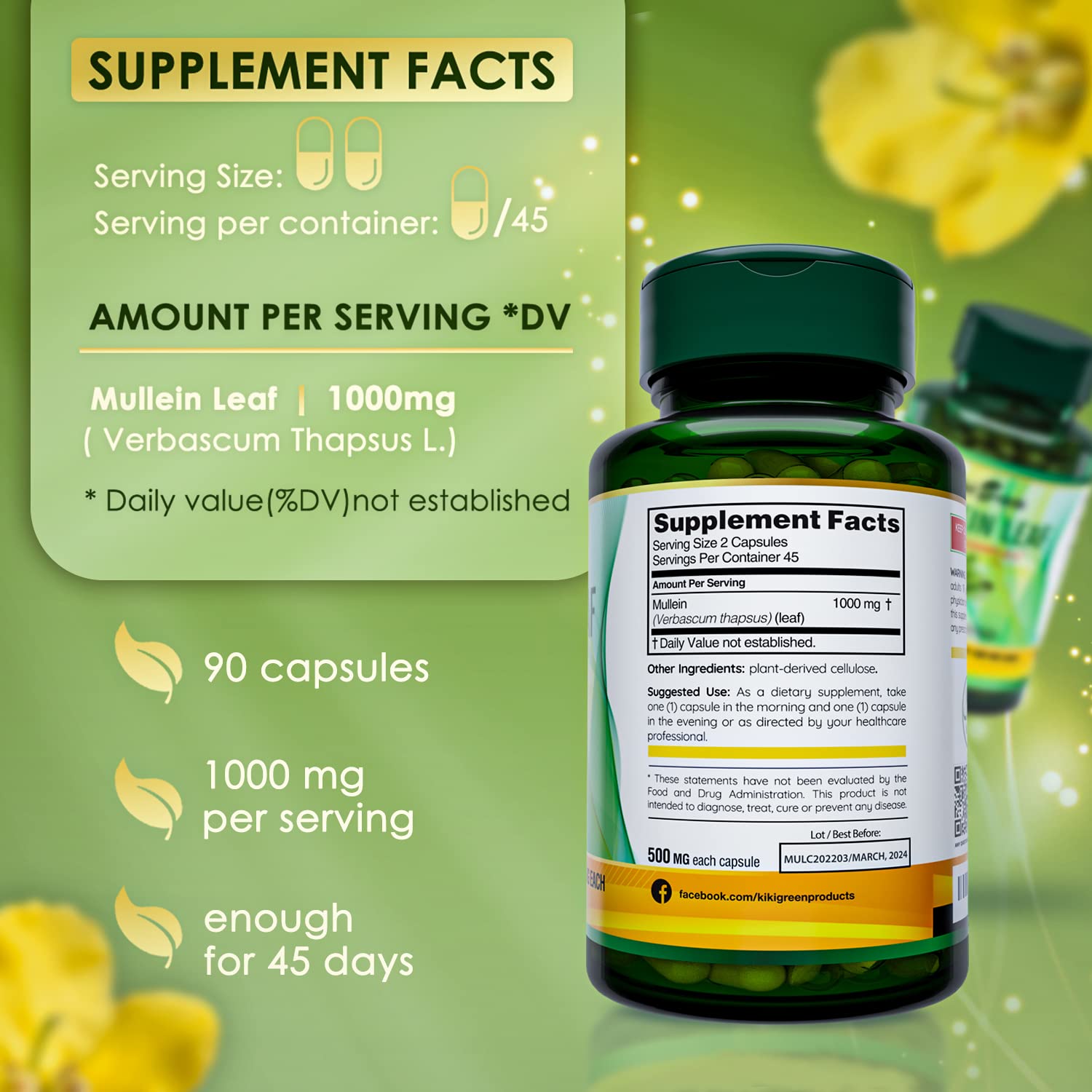 KIKI Green Mullein Leaf Extract Capsules - Herbal Respiratory Supplement - for Lung Cleans KIKI Green