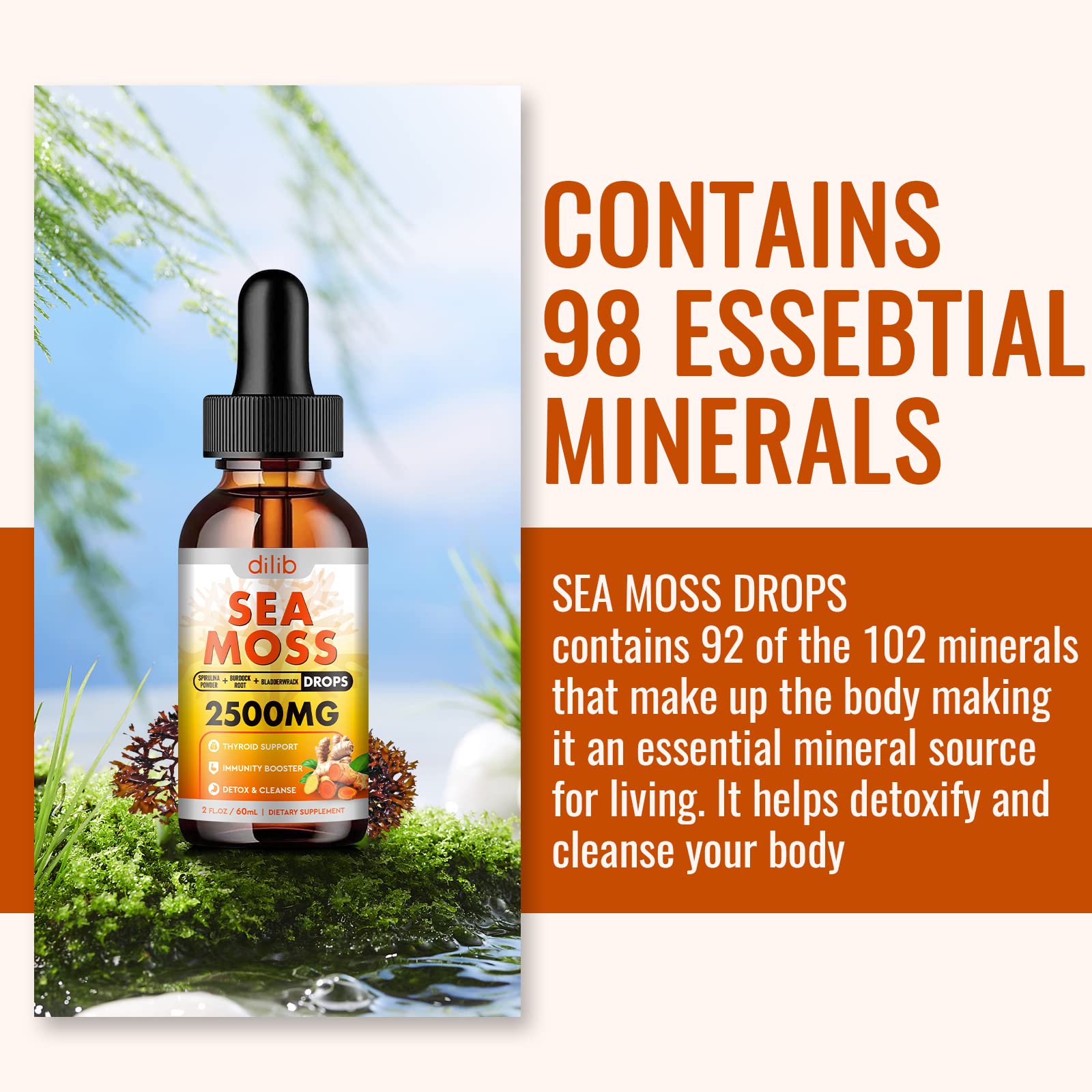 Sea Moss Liquid Drops: Organic Irish Sea Moss 2500mg with Turmeric, Bladderwrack dilib