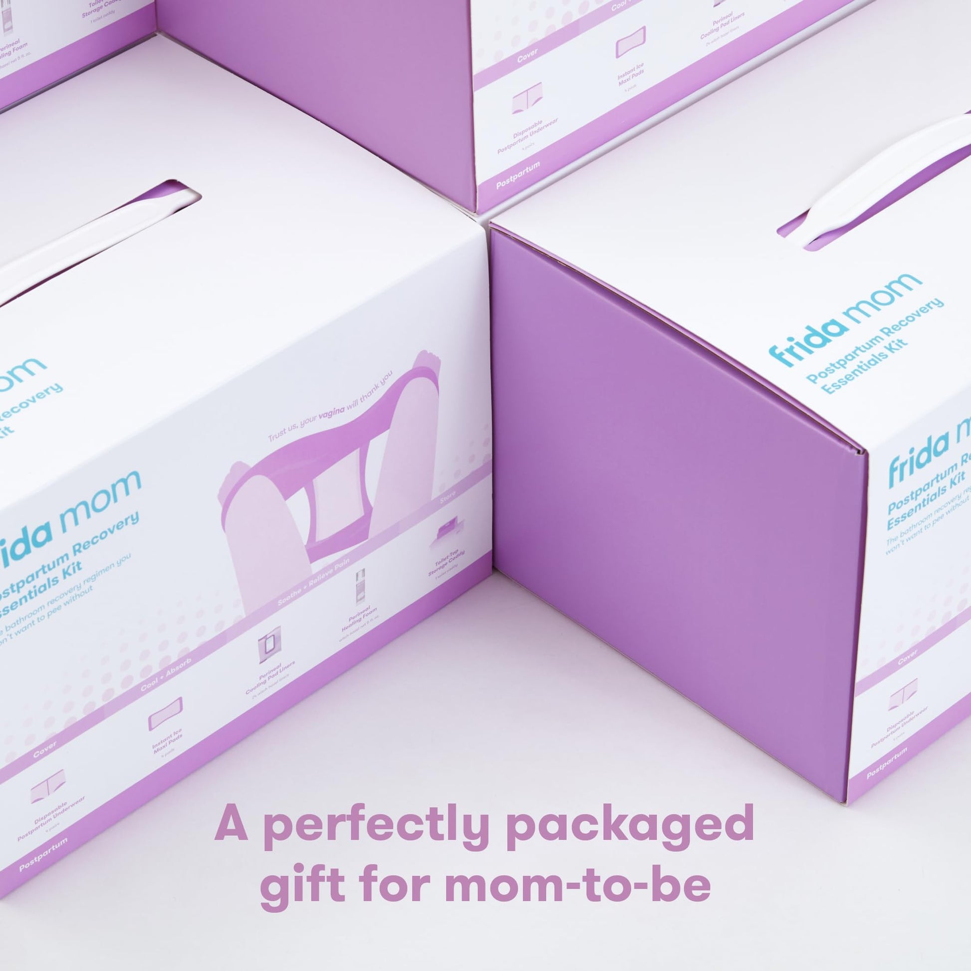 Frida Mom Postpartum Recovery Essentials Kit, New Mom Gifts, Cooling Pad Liners, Ice Maxi Pads Frida Mom