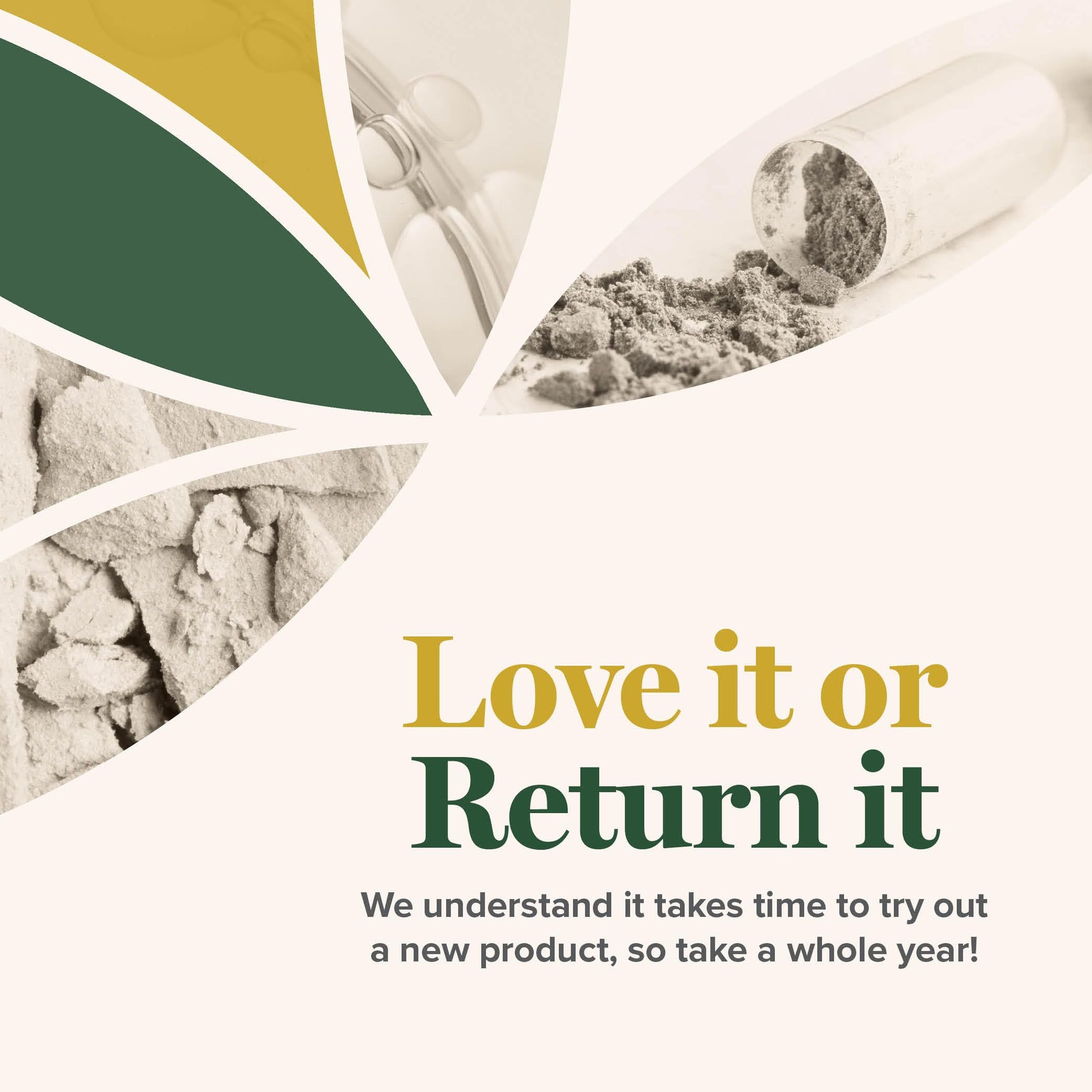 Global Healing Candida Cleanse (Mycozil) - Supports Detoxification for Natural Candida Cleanse Global Healing Center