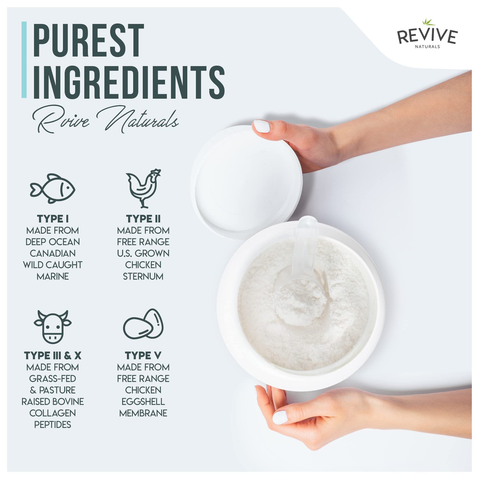 Vanilla Multi Collagen Protein Powder - 400g - Unsweetened - 5 Types of Collagen Peptides Revive Naturals