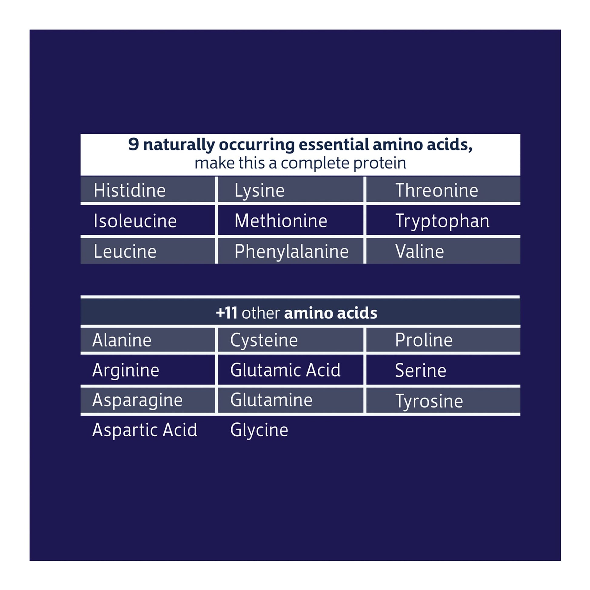 Biochem 100% Whey Sugar-Free Chocolate 20g, 12.5oz, Certified Vegetarian, Certified Glut Biochem