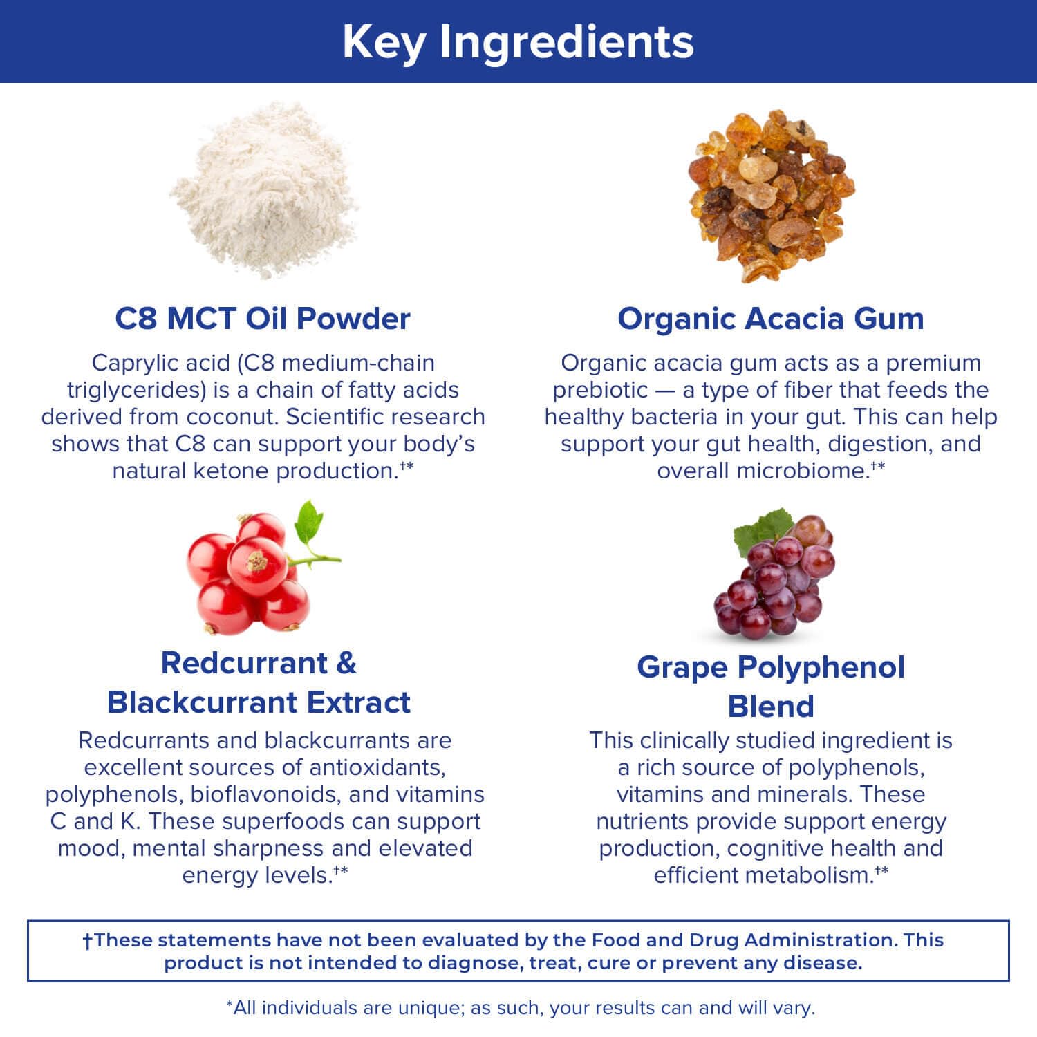 Gundry MD MCT Wellness Powder to Support Energy, Ketone Production and Brain Health Gundry MD