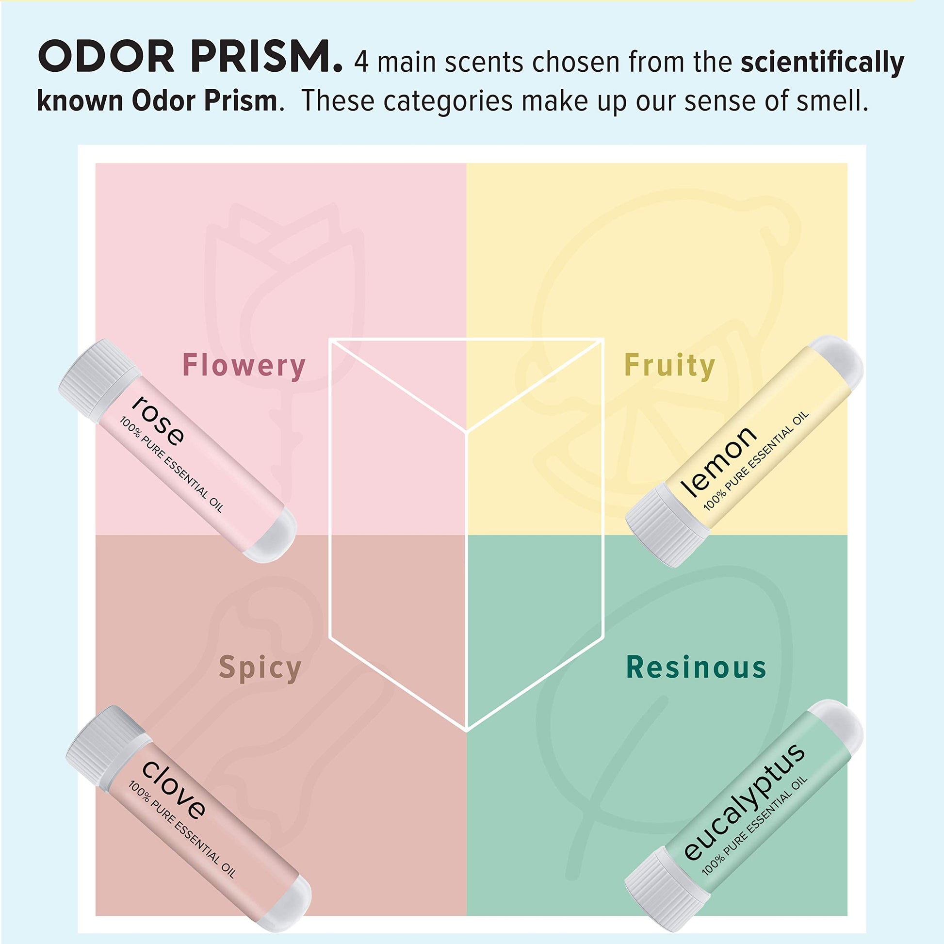 MOXĒ Smell Training Kit, Made in USA, 4 Essential Oils, Olfactory Regeneration, Helps Restore Sense MOXE