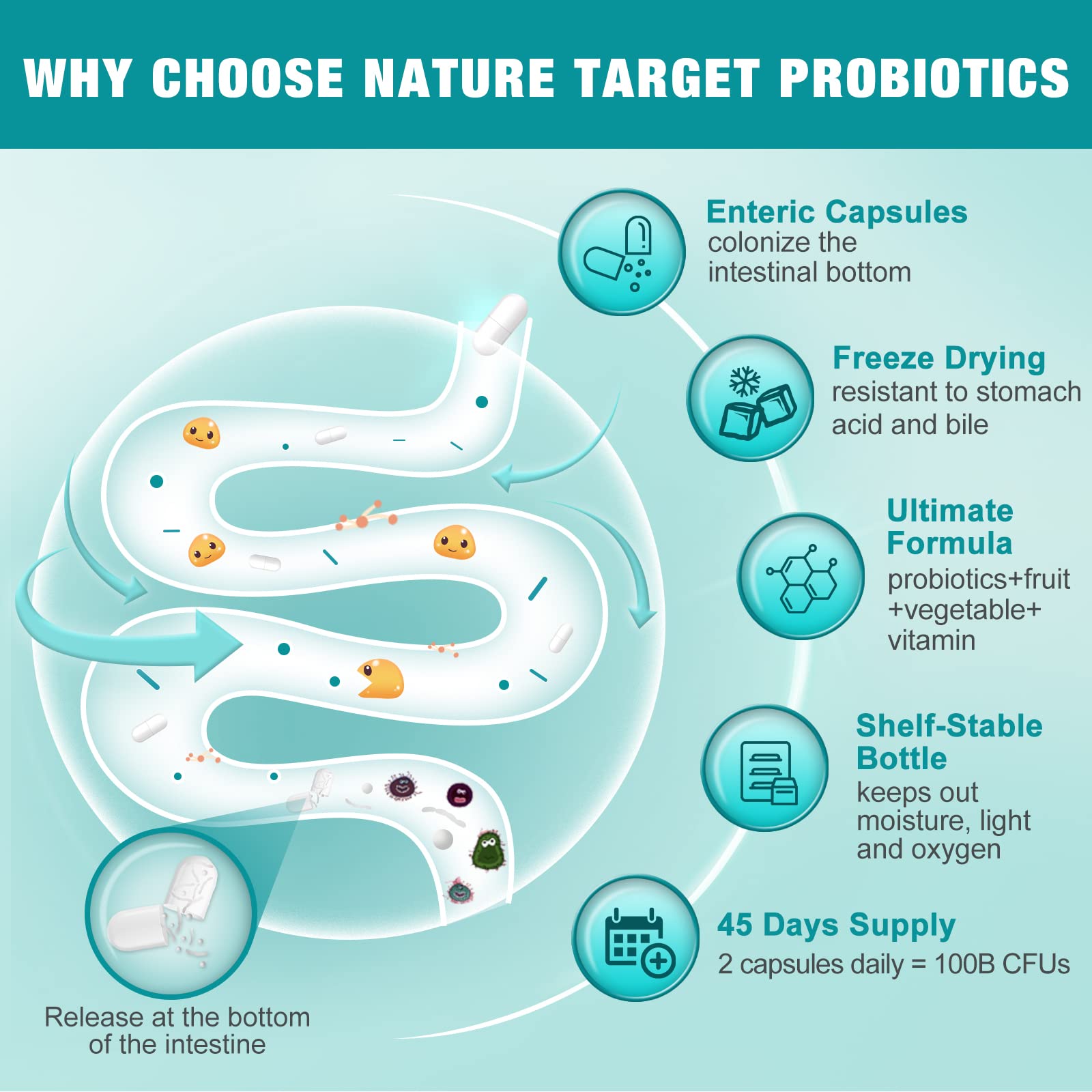 Probiotics for Women-Men-Kids Digestive Health, Prebiotics and Probiotics for Women NATURE TARGET