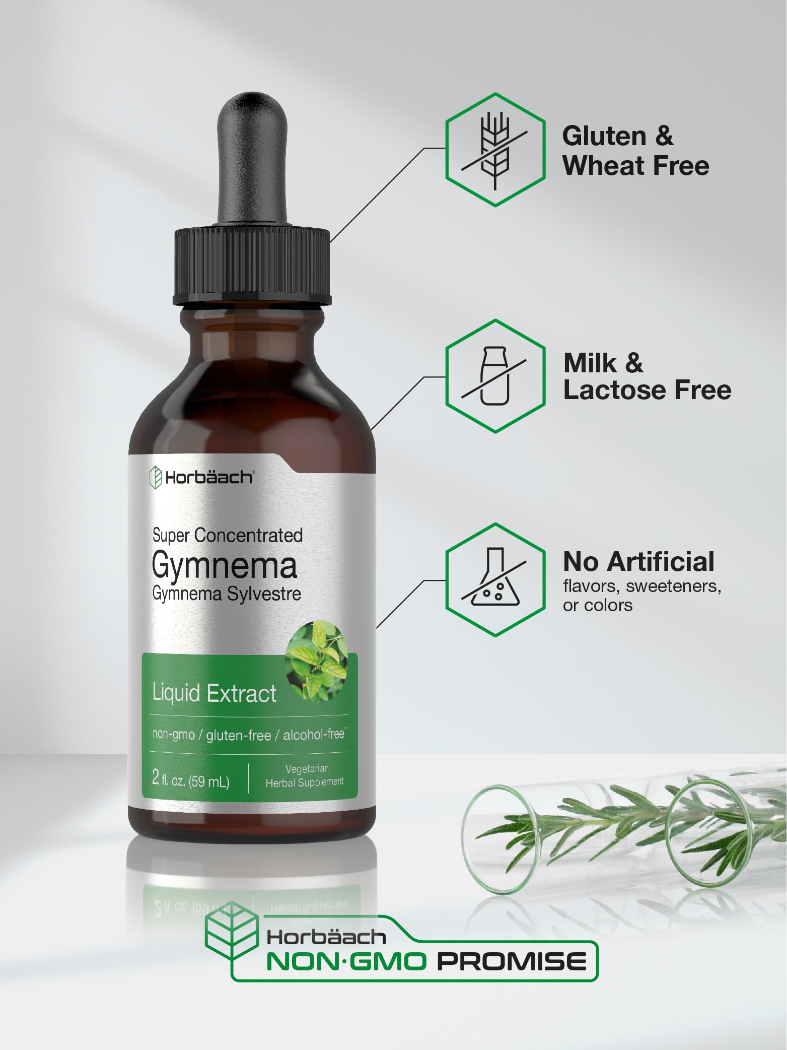 Gymnema Sylvestre Liquid | 2 fl oz | Alcohol Free Supplement | Super Concentrated Horbäach