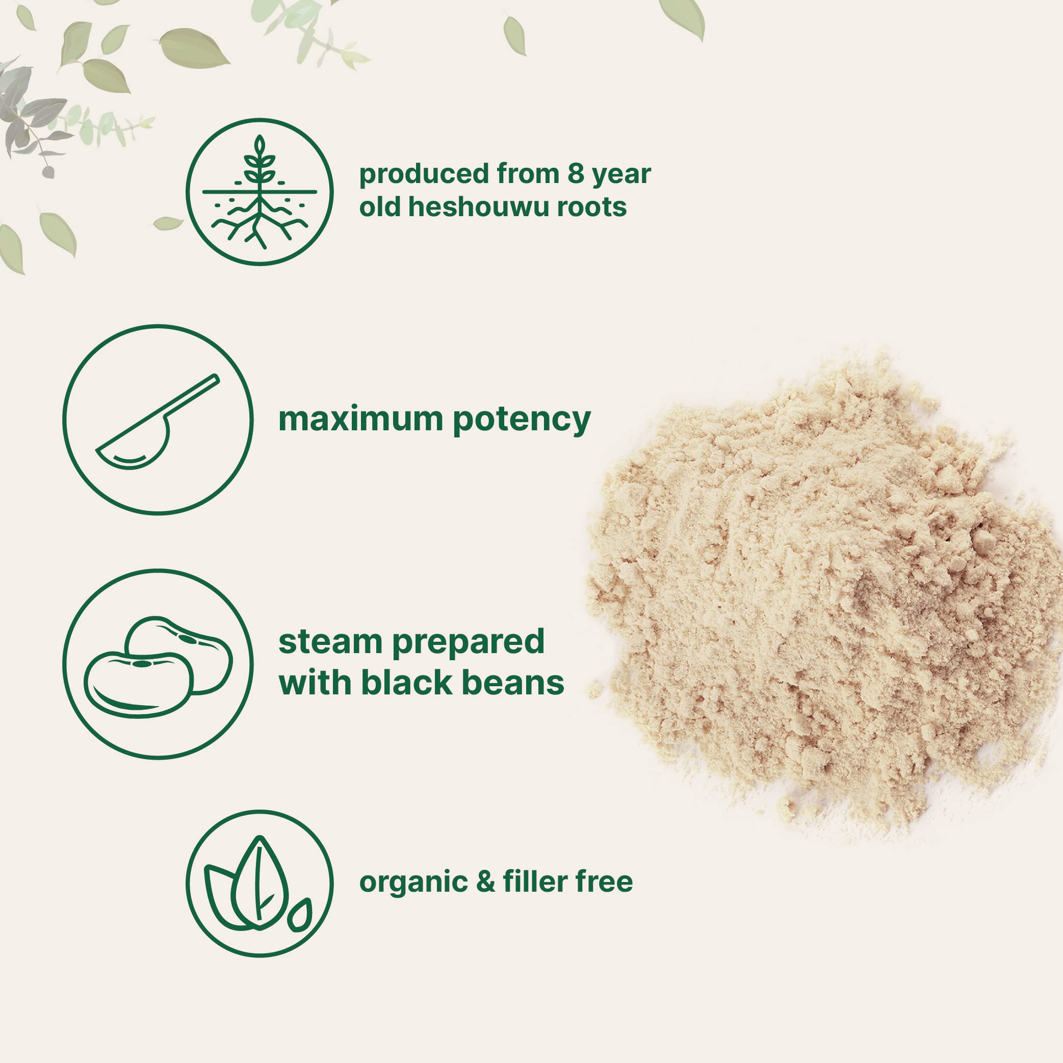 Organic He Shou Wu, Pure Fo Ti Extract Powder, 6 Ounce, Prepared Foti Steaming Micro Ingredients