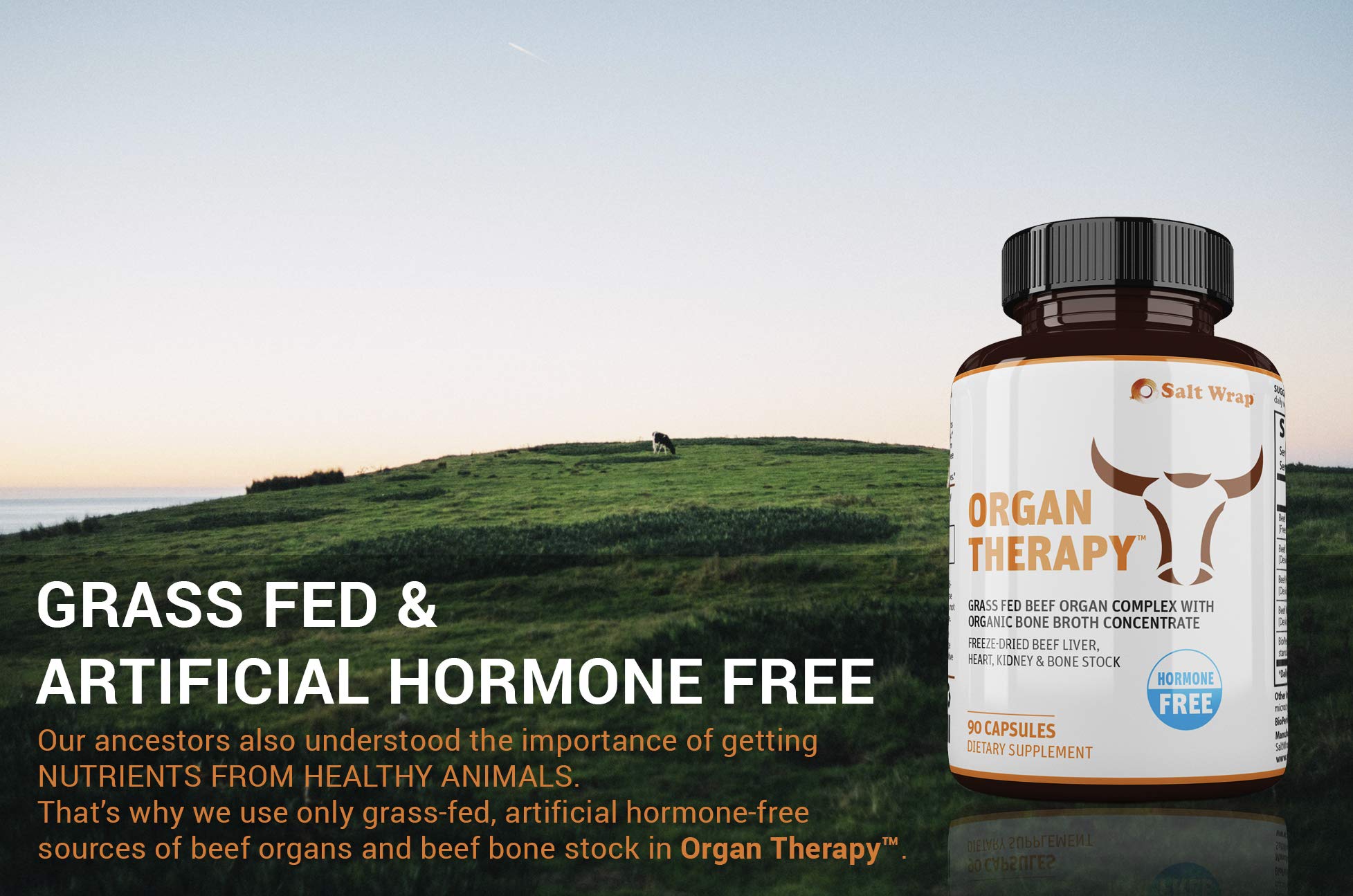 SaltWrap Organ Therapy - Grass Fed Beef Organ Meat Complex Supplement with Organic SaltWrap