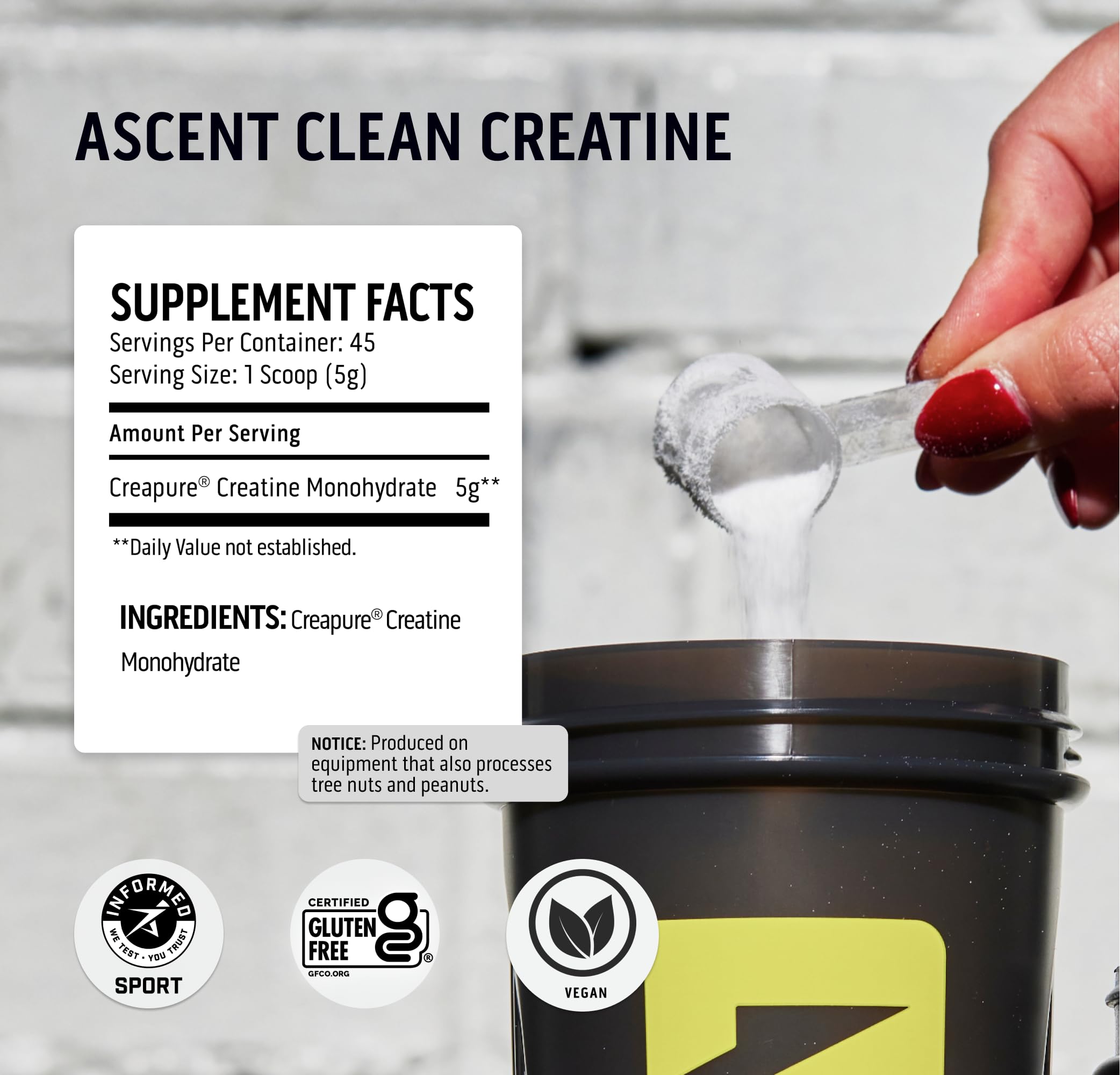 Ascent Clean Creatine Monohydrate Powder - 5G Per Serving, Creapure Creatine Supple Ascent