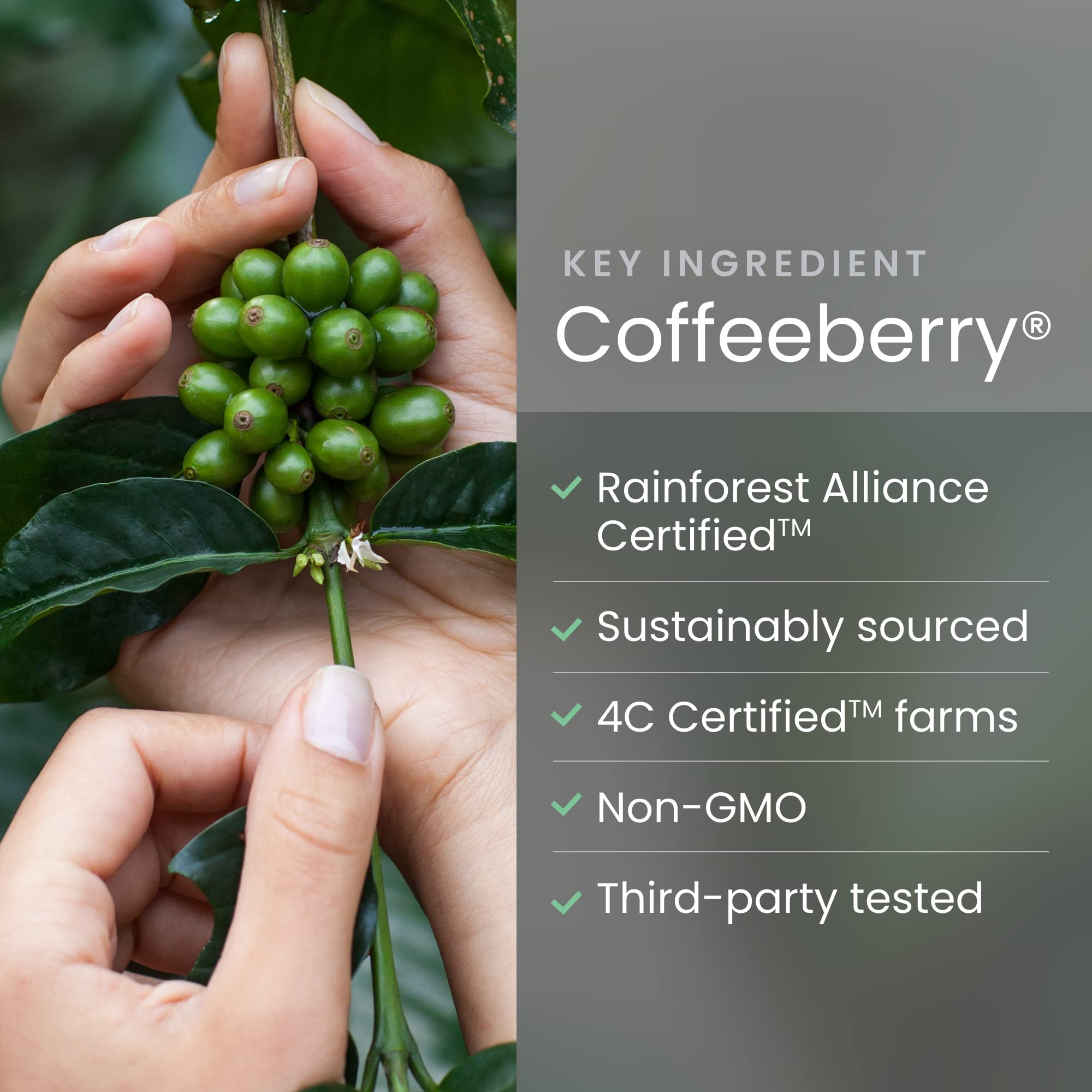 humanN SuperBeets Energy Gummies - Quick Energy & Mental Focus - Help Increase Nitric humanN